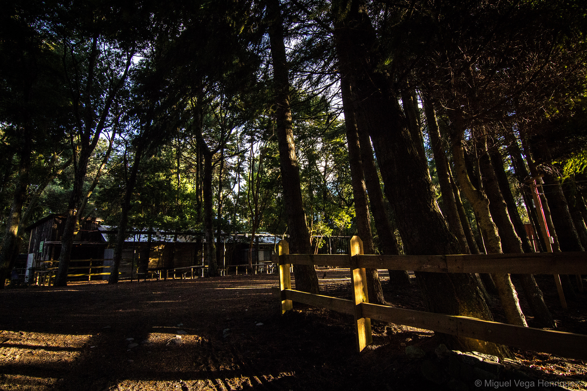 Canon EOS 700D (EOS Rebel T5i / EOS Kiss X7i) sample photo. Lago llanquihue - chile "ensenada" photography