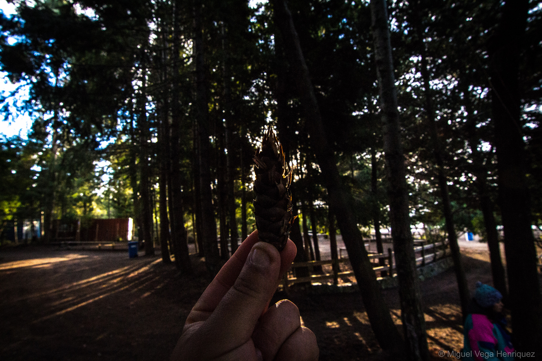 Canon EOS 700D (EOS Rebel T5i / EOS Kiss X7i) sample photo. Lago llanquihue - chile "ensenada" photography