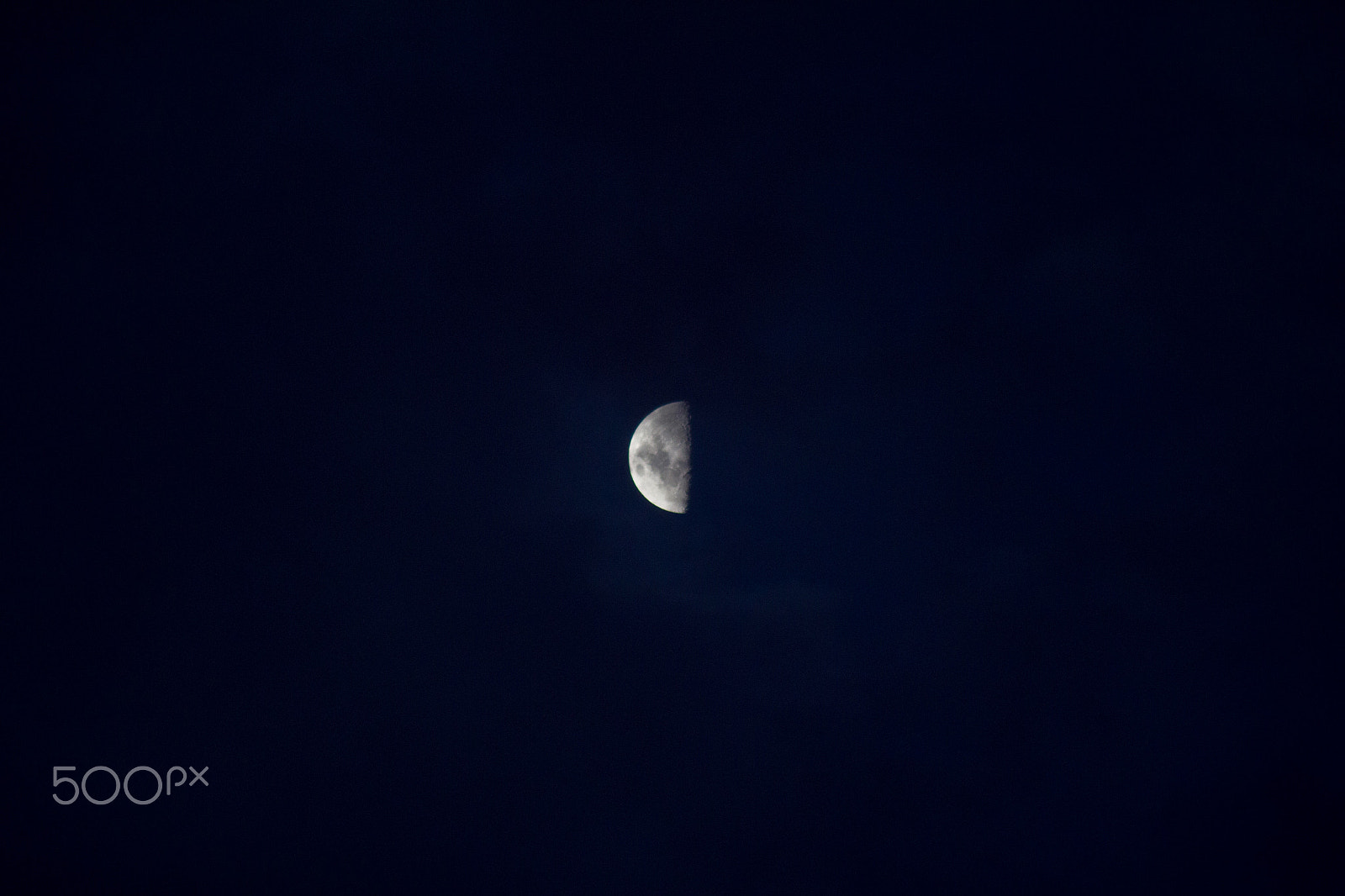 Canon EOS 550D (EOS Rebel T2i / EOS Kiss X4) sample photo. Bella dama! photography