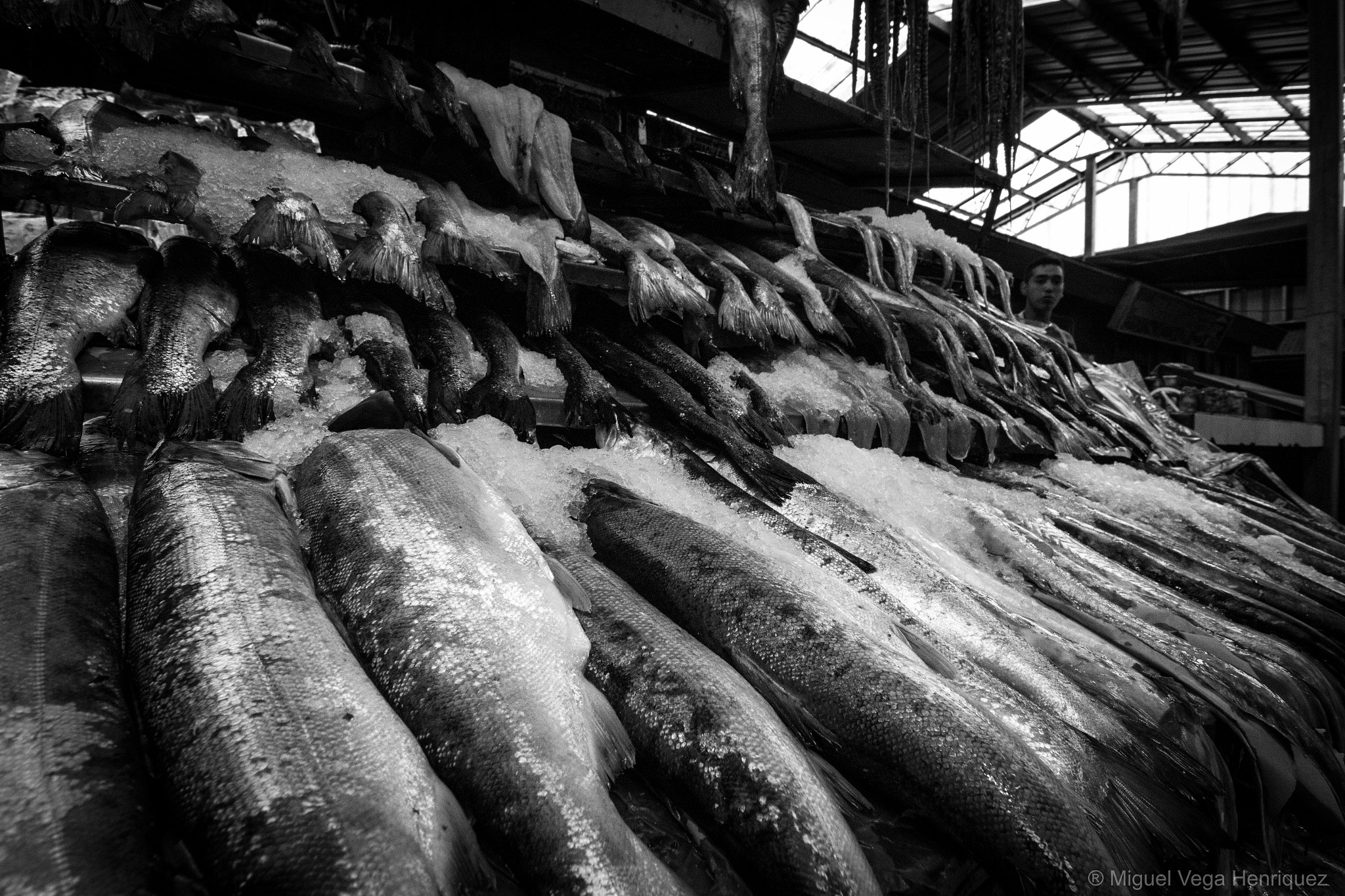 Canon EOS 700D (EOS Rebel T5i / EOS Kiss X7i) sample photo. Puerto montt - angelmo photography