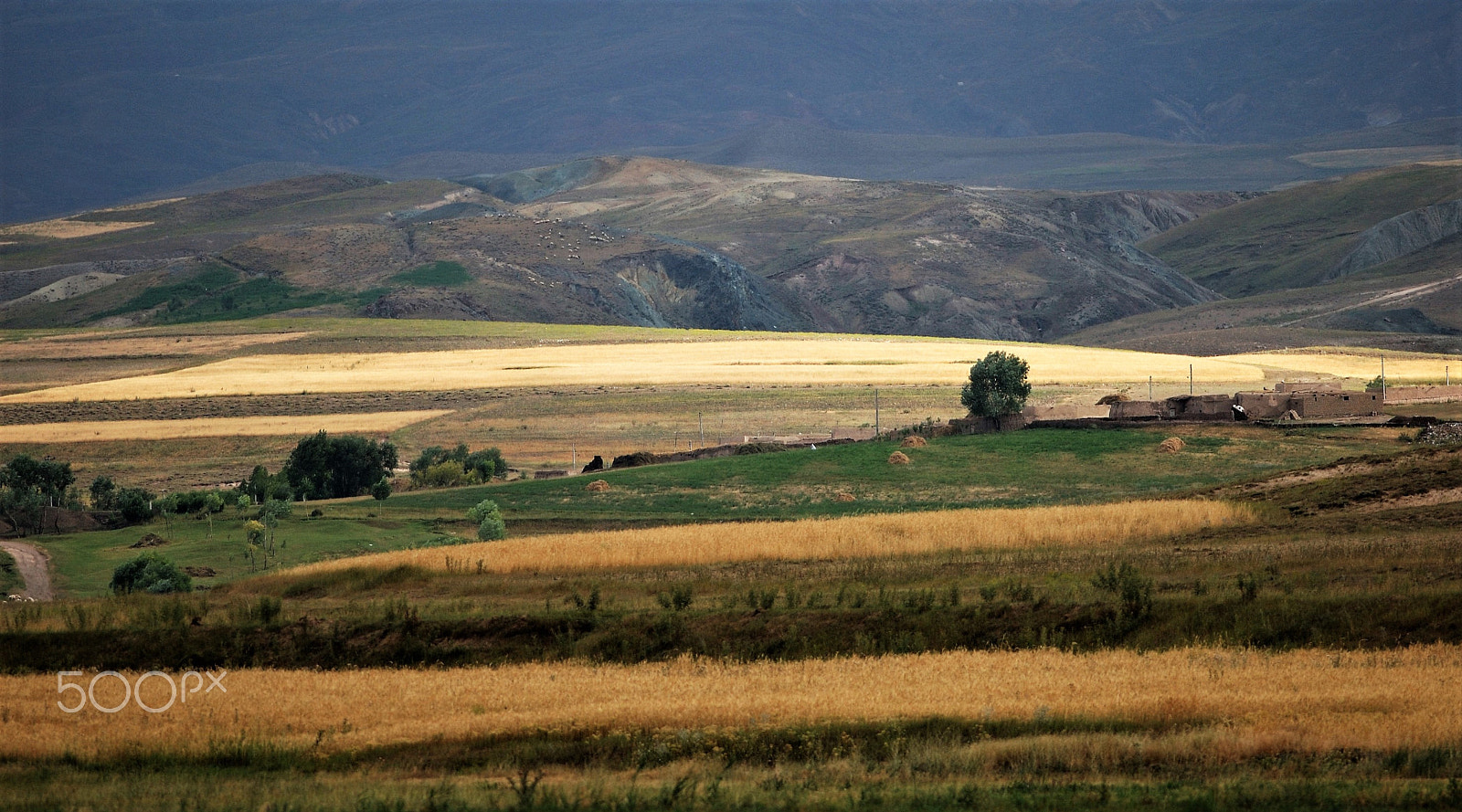 Nikon D70 sample photo. Azerbaijan photography