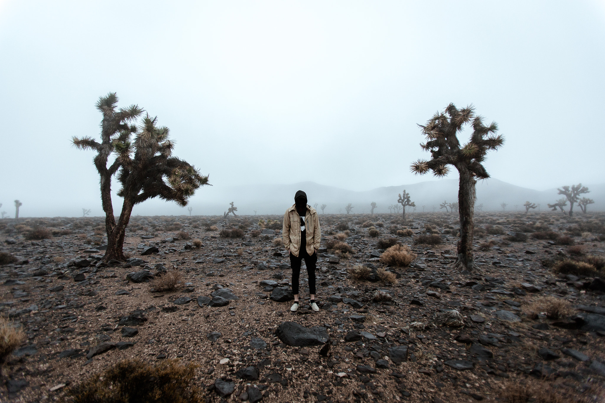Canon EF 16-35mm F2.8L USM sample photo. Desert fog photography