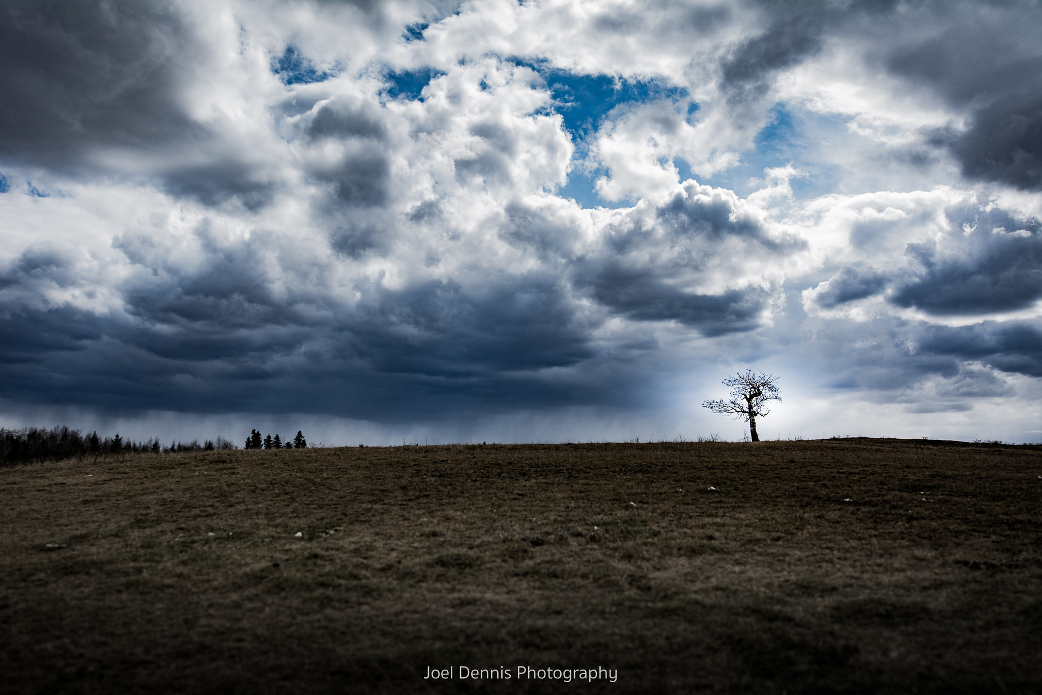Sigma 10-20mm F3.5 EX DC HSM sample photo. The enchanted tree photography