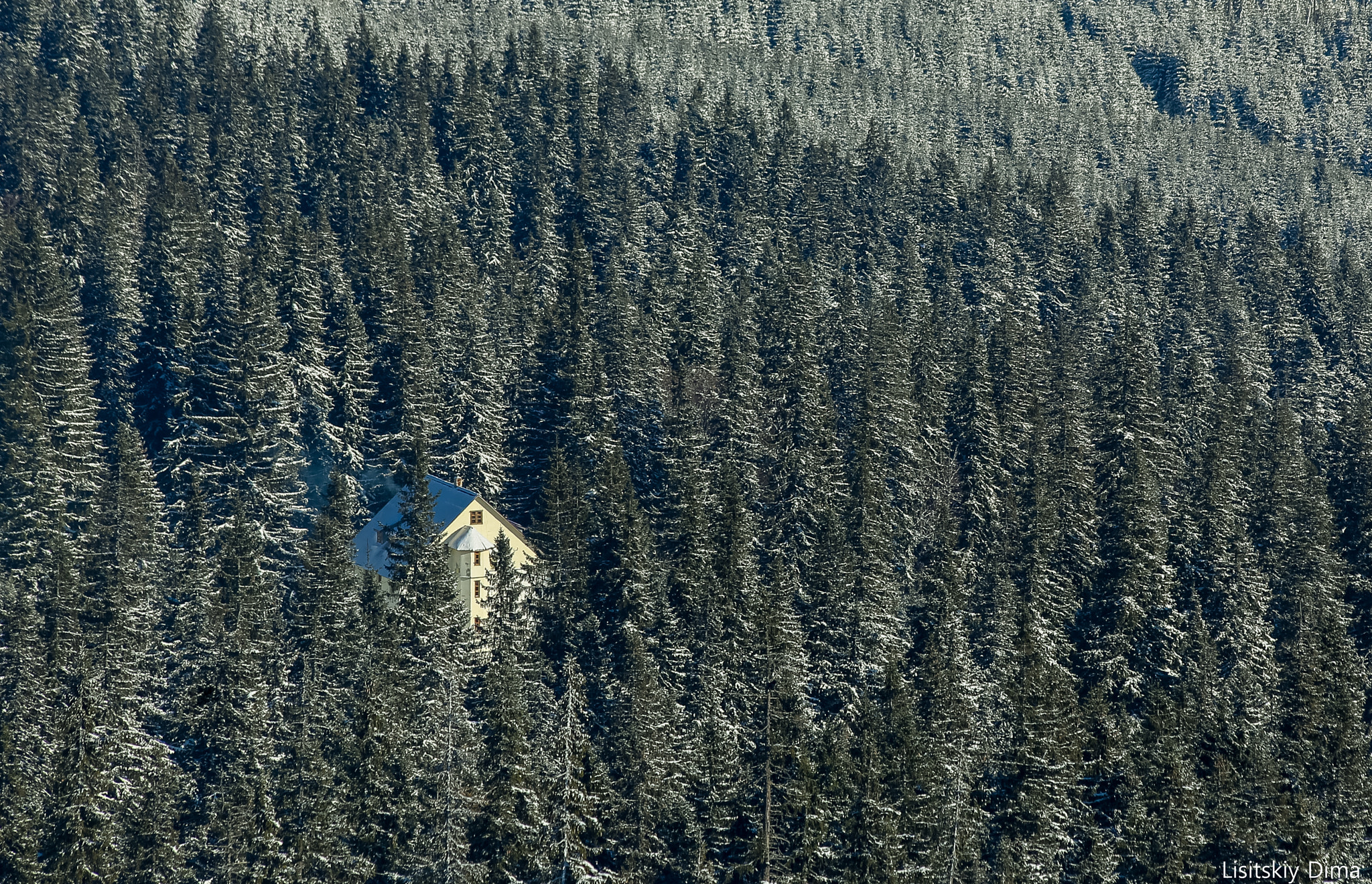 Canon EF 70-300mm F4-5.6 IS USM sample photo. Alone photography