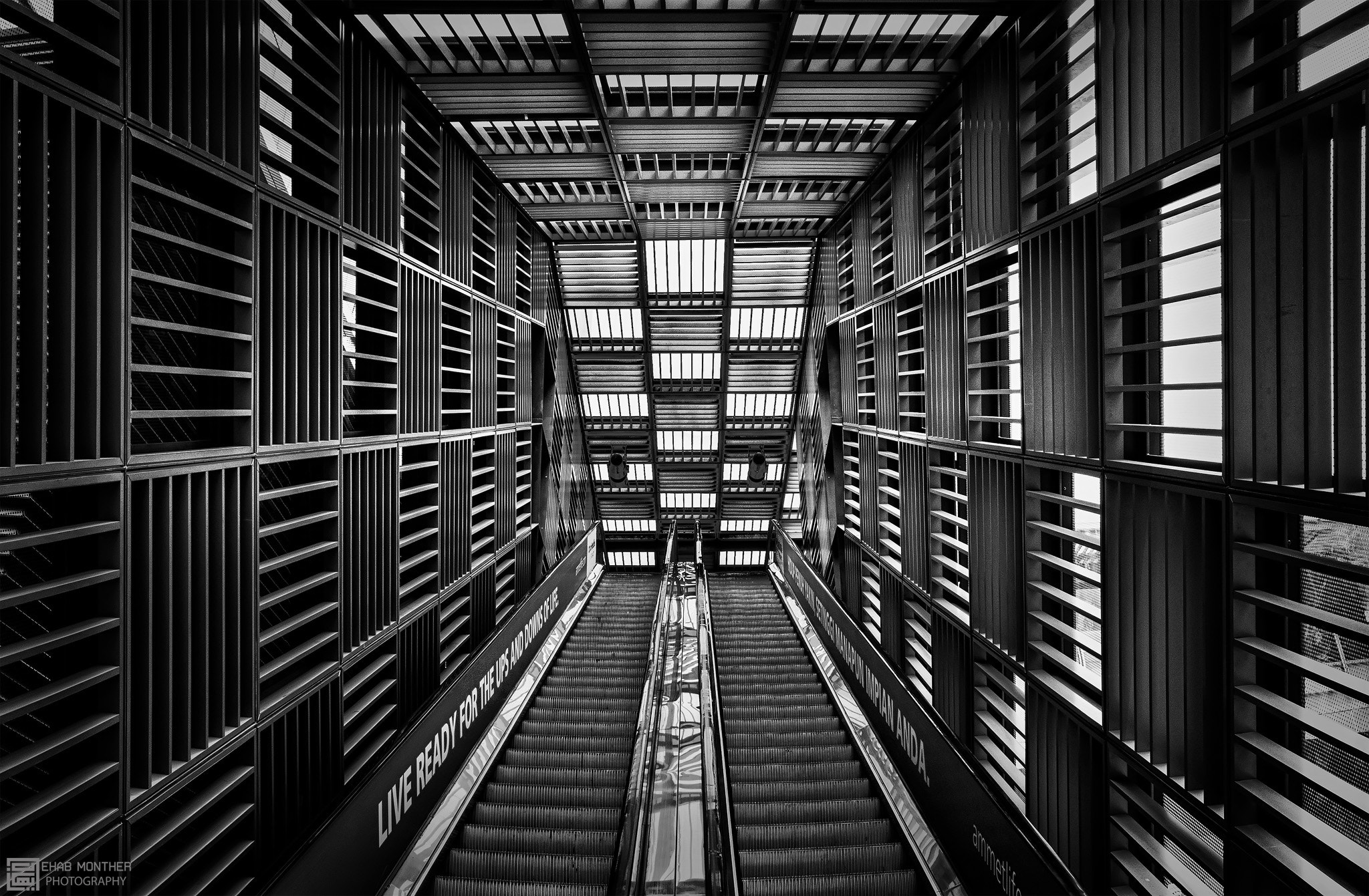 Tokina AT-X Pro 11-16mm F2.8 DX sample photo. Tangle photography