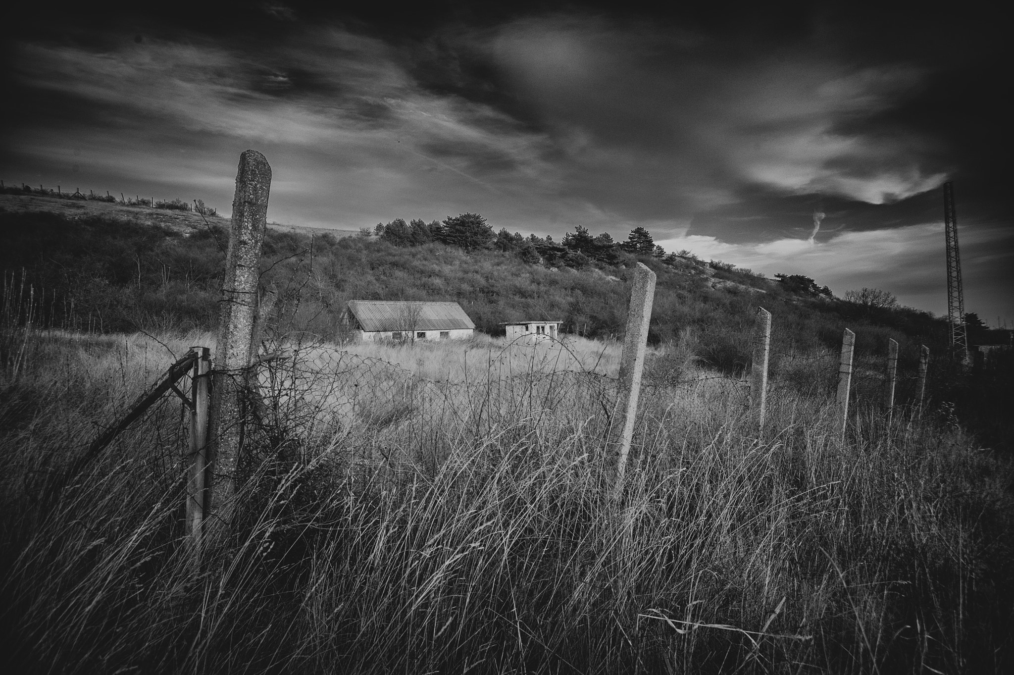 Nikon D700 sample photo. Natural hide... photography