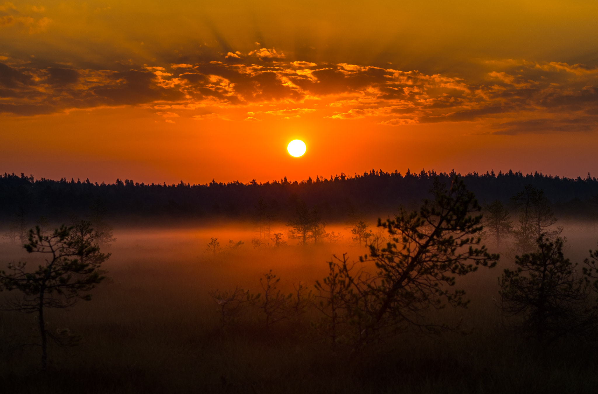 Tamron AF 70-300mm F4-5.6 LD Macro 1:2 sample photo. Sunrise photography