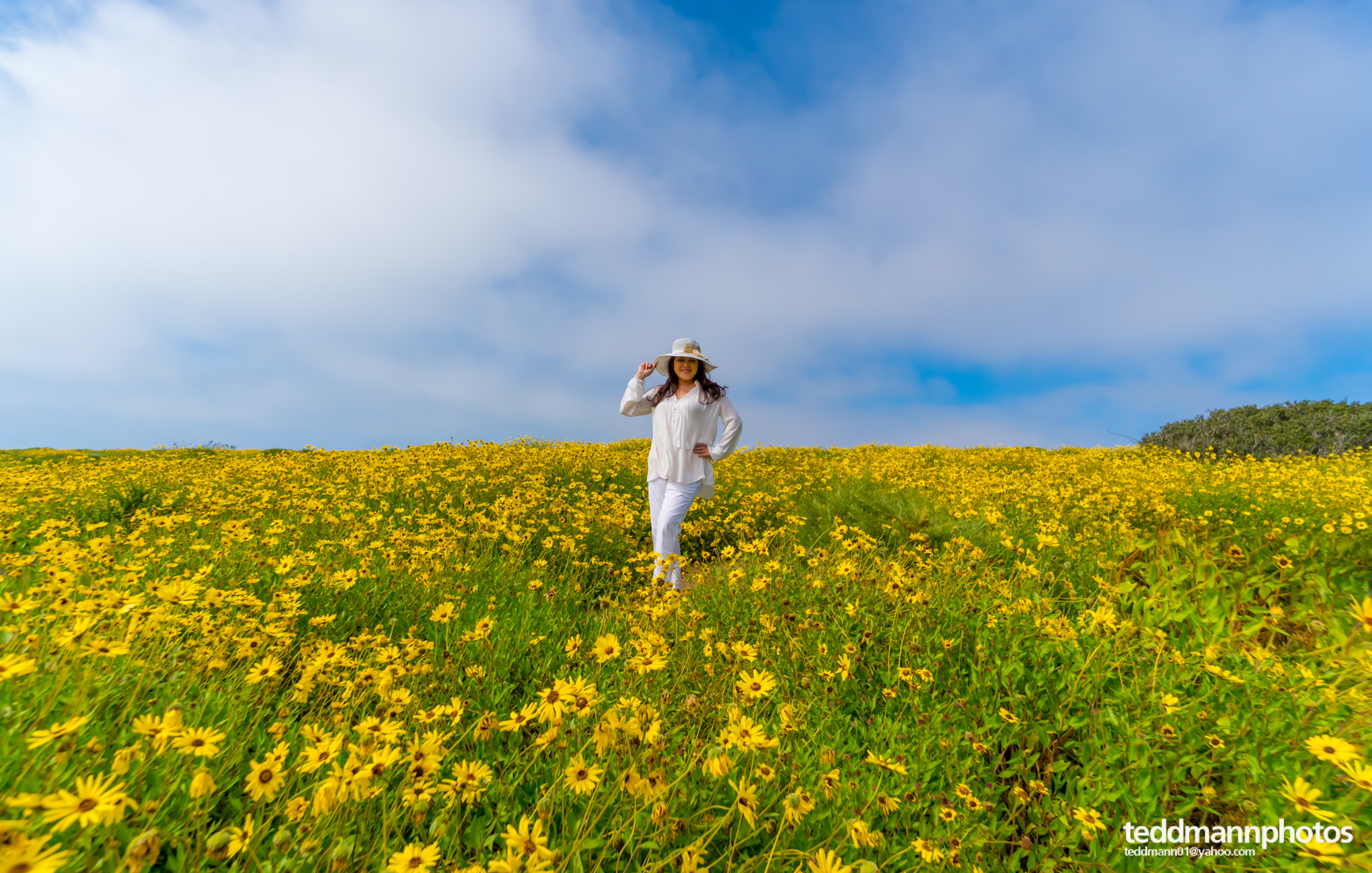 Sony a6500 sample photo. Bloom of the wildflower photography