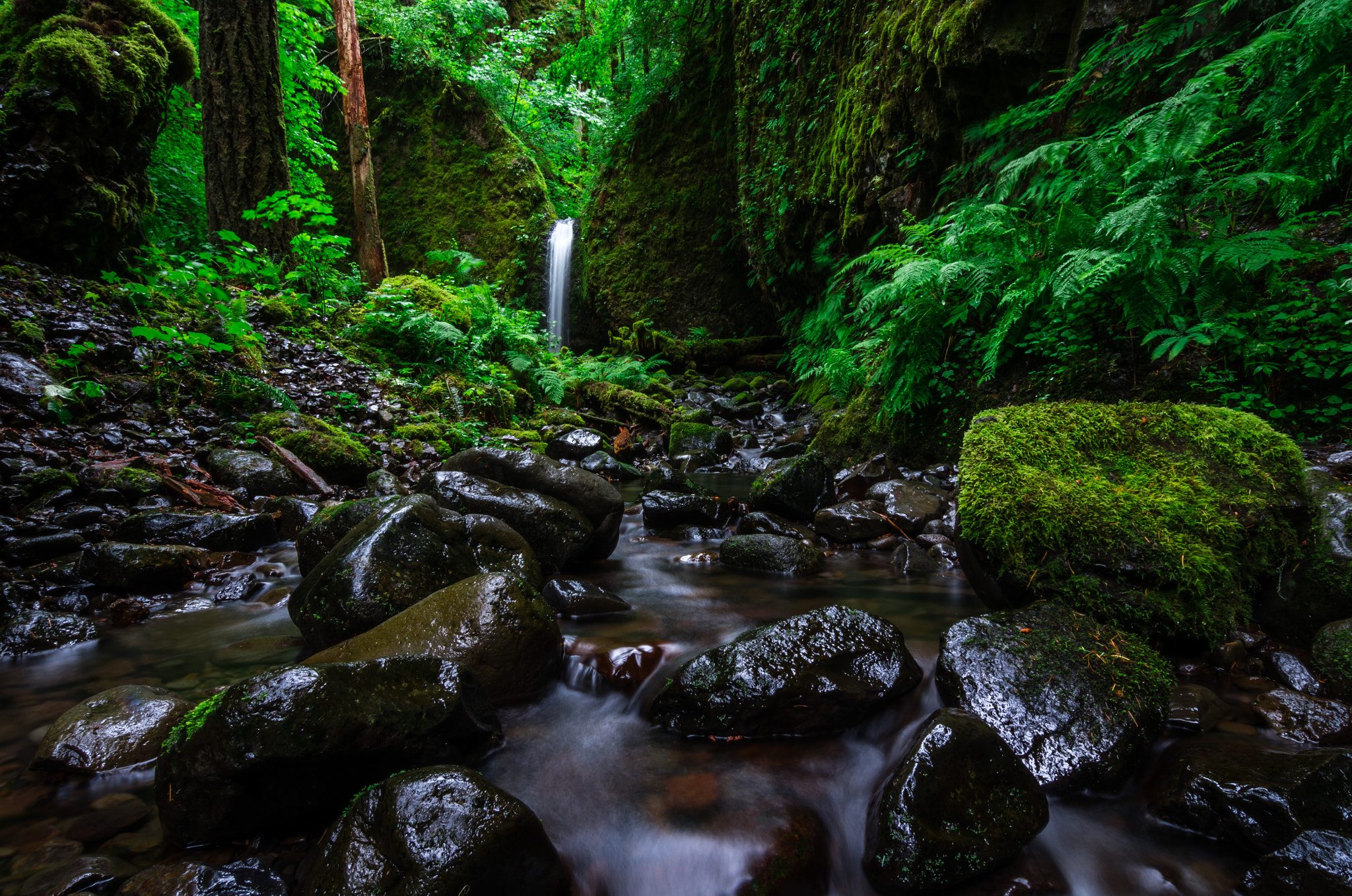 Pentax K-5 IIs + Pentax smc DA 12-24mm F4.0 ED AL (IF) sample photo. Mossi grotto photography