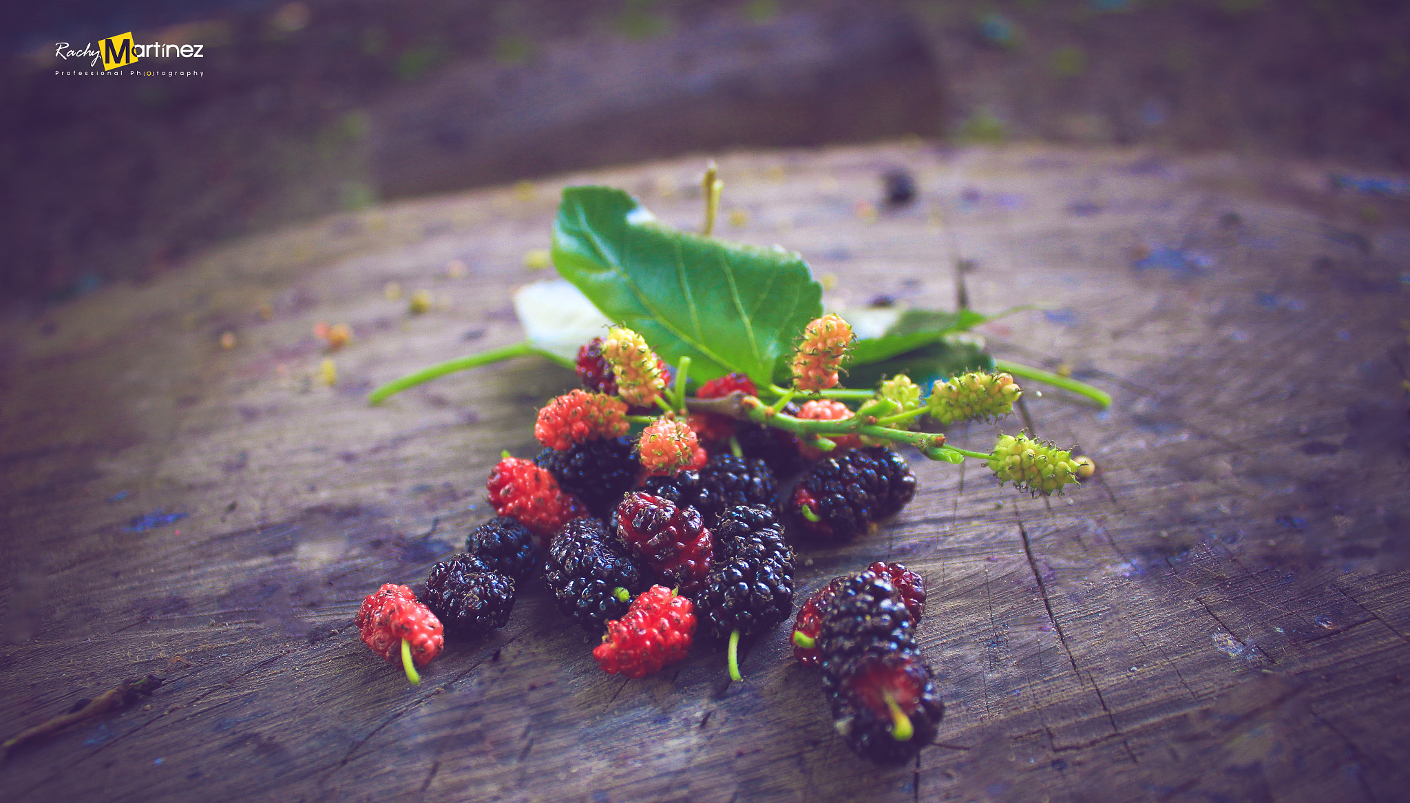 Canon EOS 600D (Rebel EOS T3i / EOS Kiss X5) sample photo. Moras photography