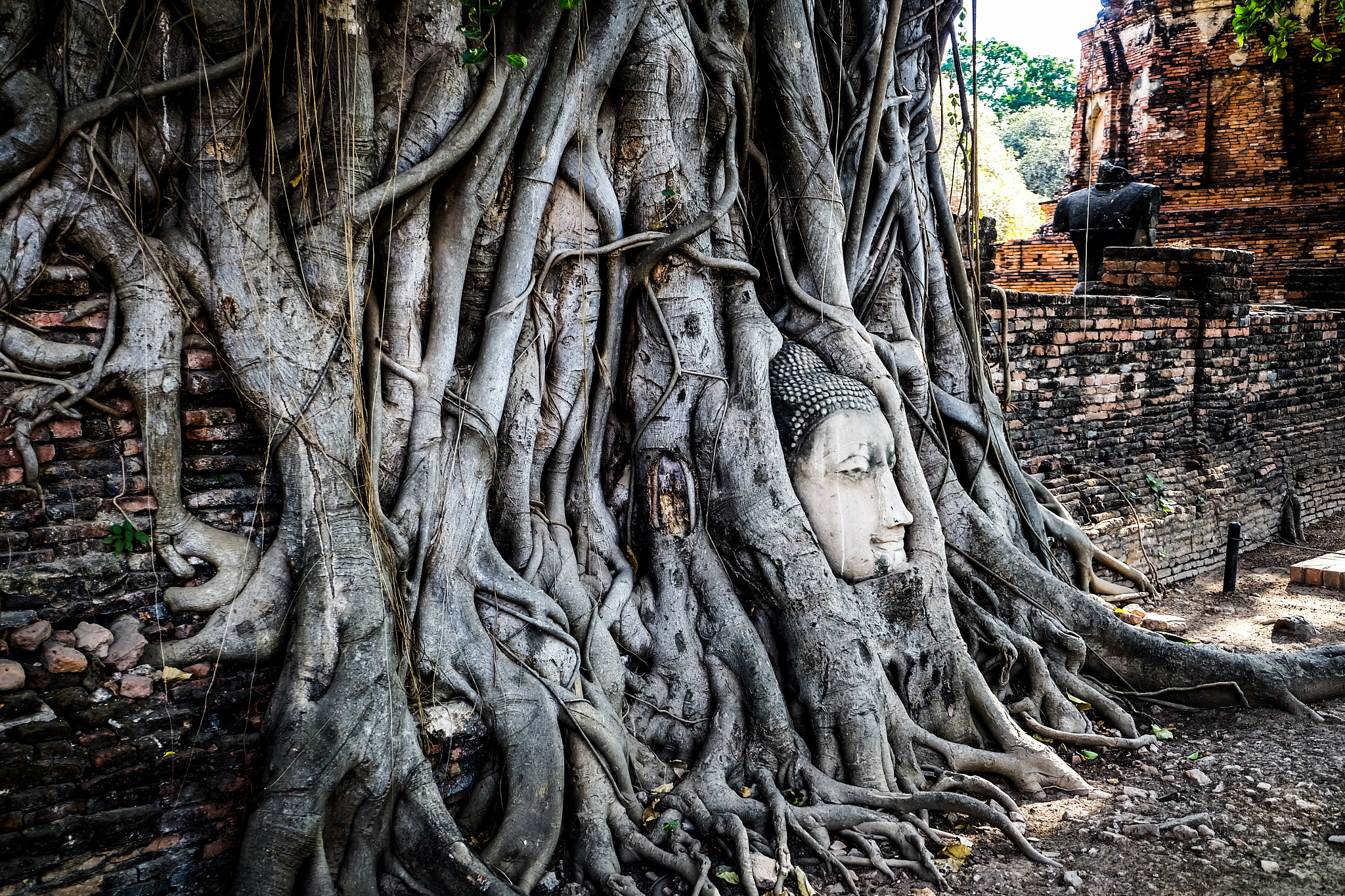 Fujifilm XC 16-50mm F3.5-5.6 OIS sample photo. Buddha photography