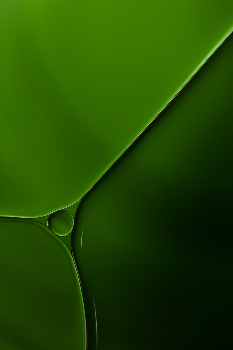 Canon EF 100mm F2.8L Macro IS USM sample photo. ... photography