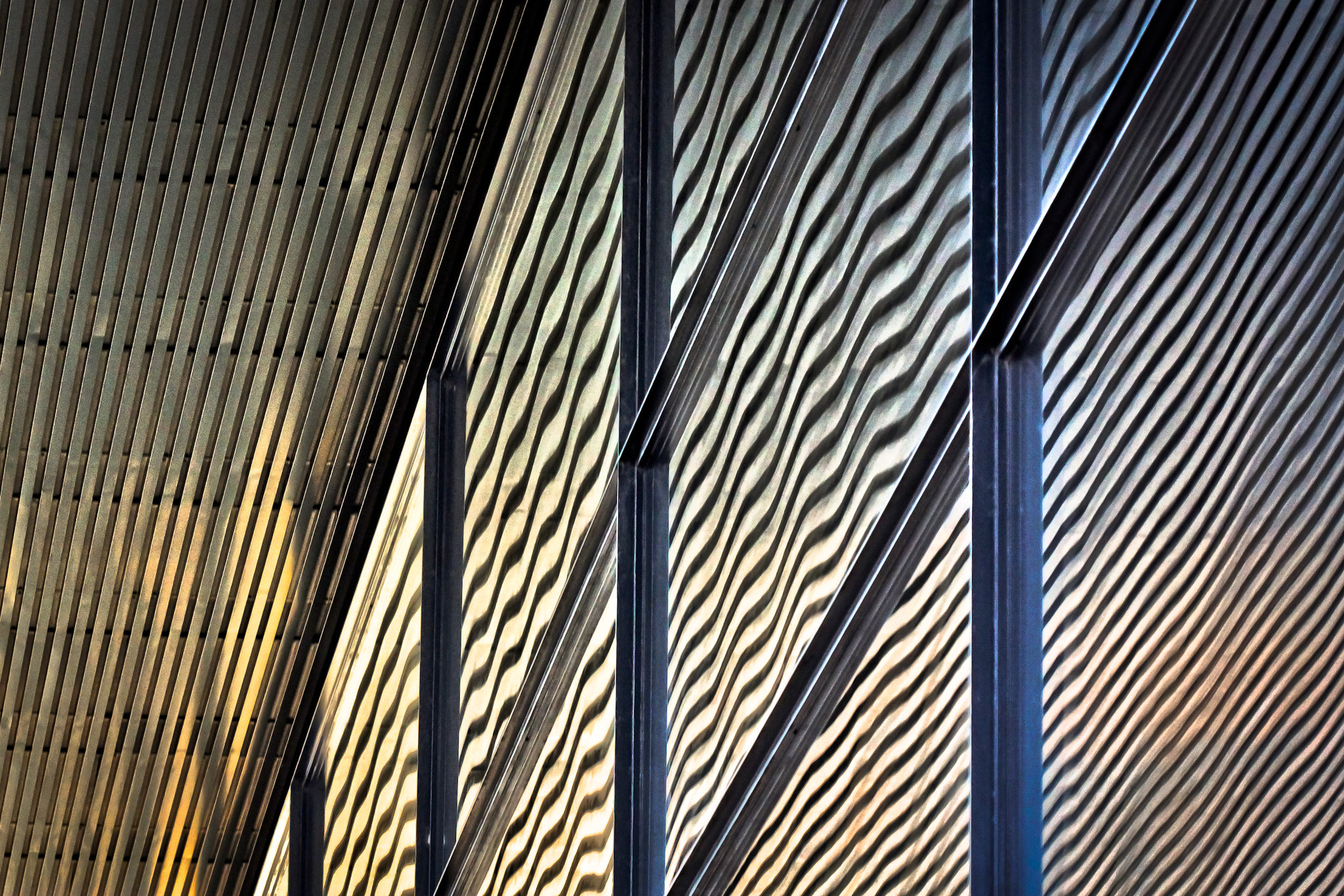 Canon EF 100mm F2.8 Macro USM sample photo. Lines & curves photography