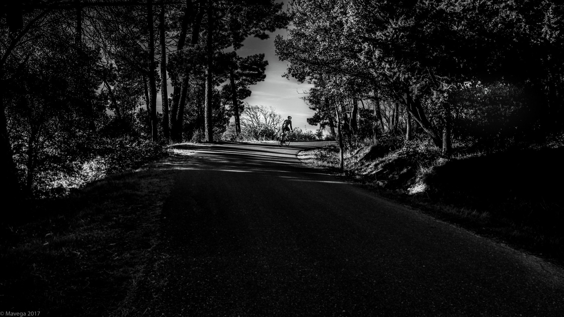 Sony a6300 + Sigma 19mm F2.8 EX DN sample photo. Bike & white photography