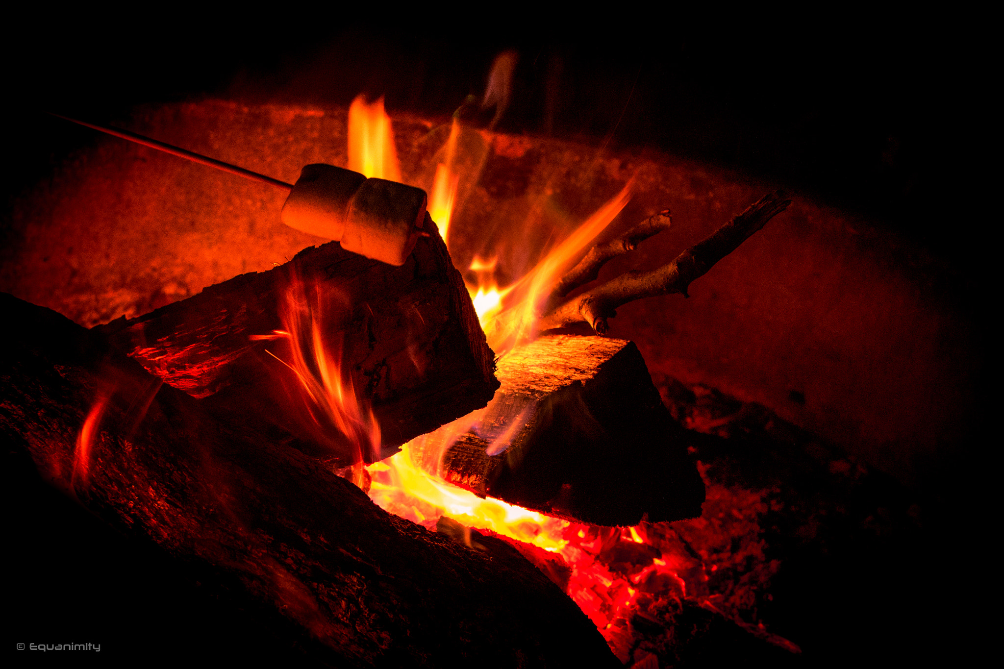 Canon EF-S 24mm F2.8 STM sample photo. Marshmallowed photography