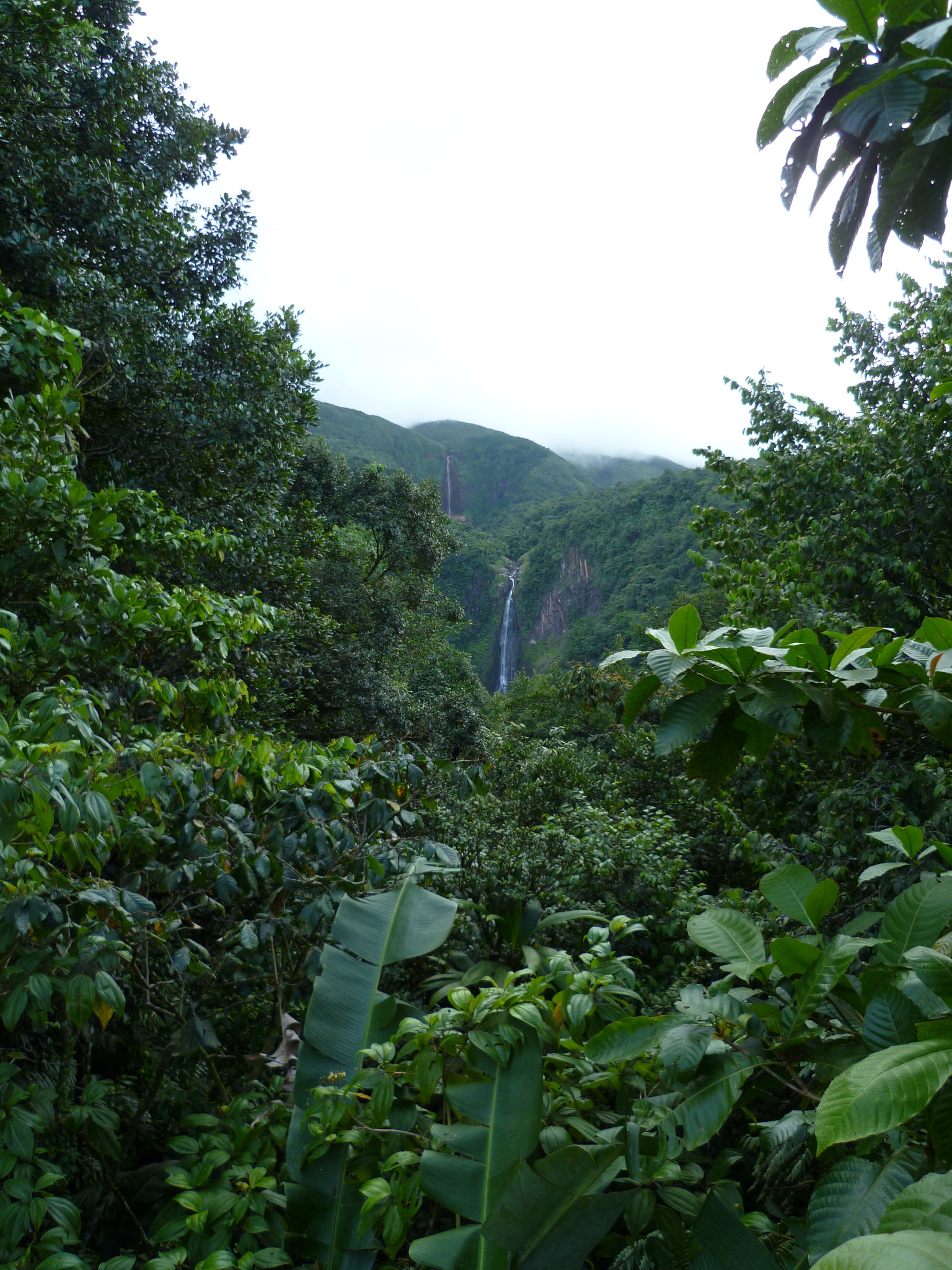 Panasonic DMC-FS11 sample photo. Green to waterfalls photography