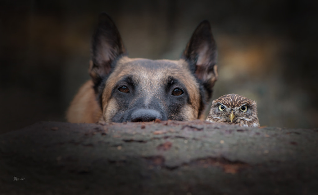 Abstand by Tanja Brandt on 500px.com