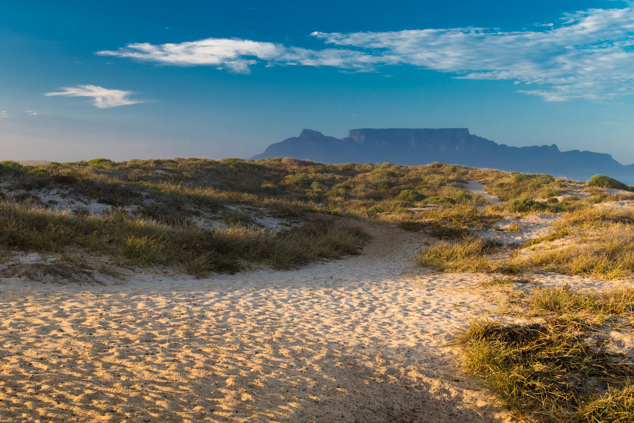 Canon EOS 7D Mark II + Canon EF 17-40mm F4L USM sample photo. Table mountain early morning photography