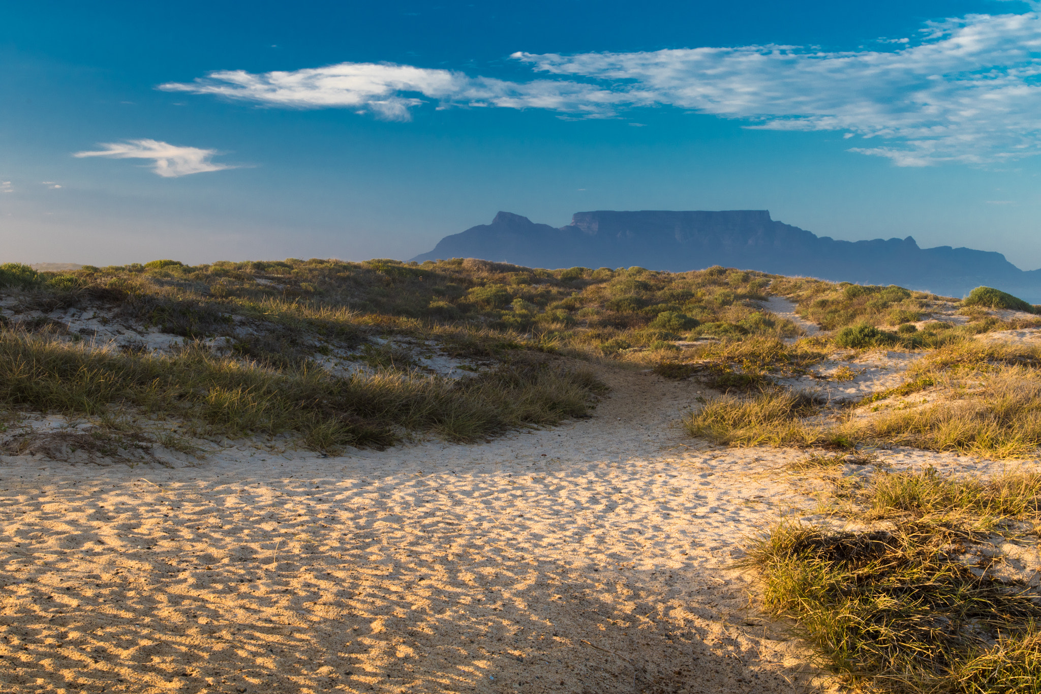 Canon EF 17-40mm F4L USM sample photo. Table mountain early morning photography