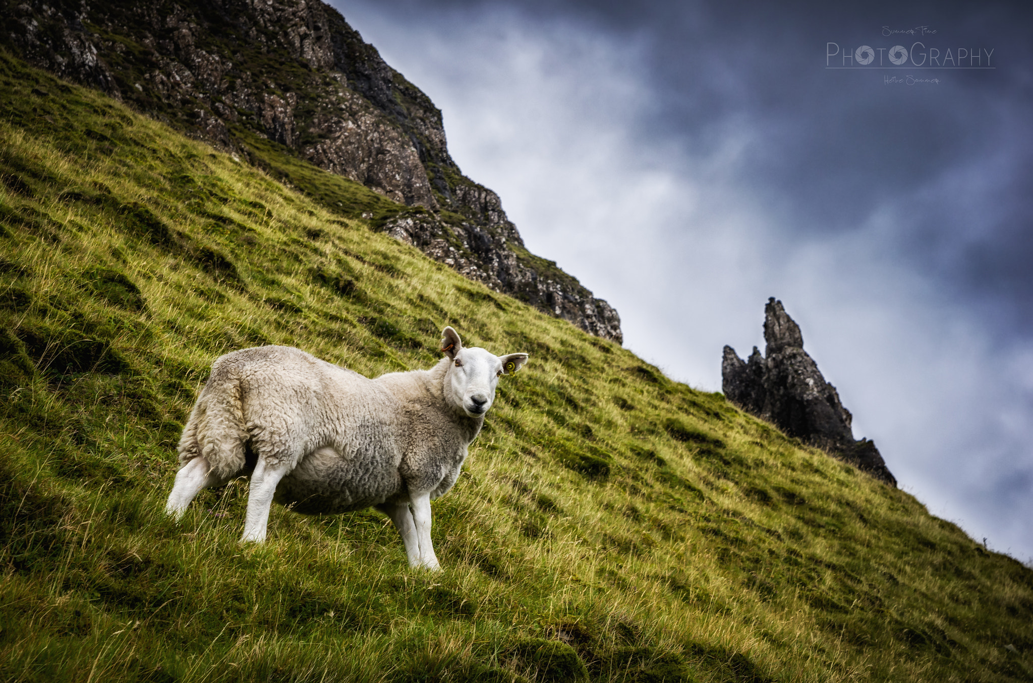 Pentax K-5 sample photo. Highlander photography