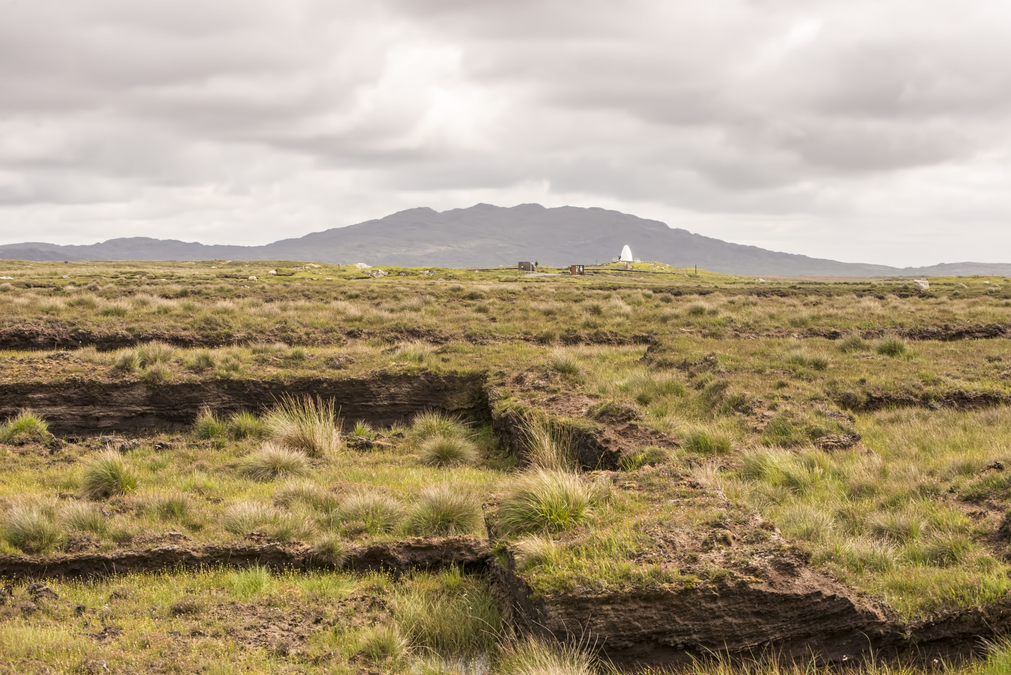 Nikon D600 sample photo. Bog view (1) photography