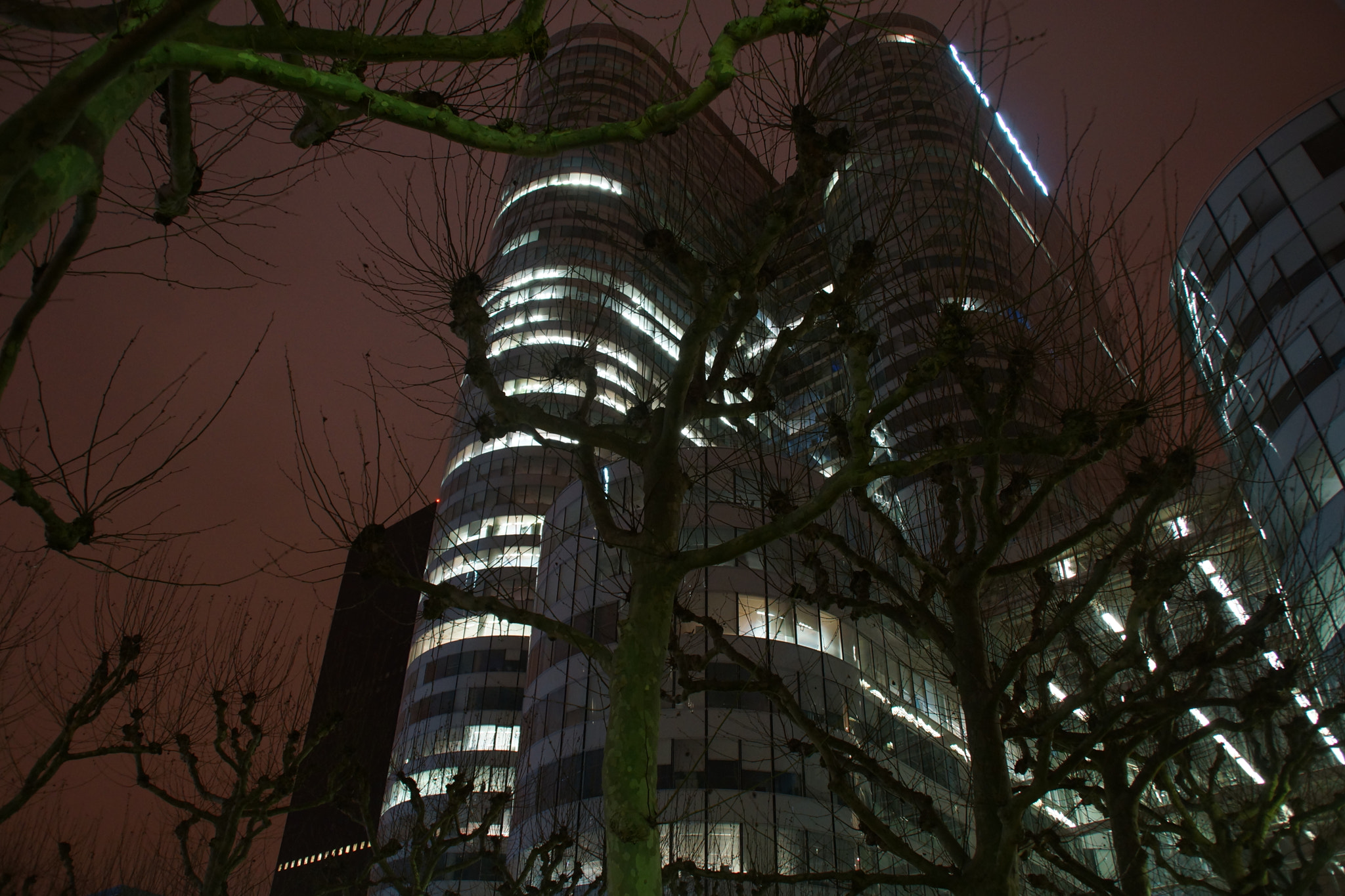 Sony SLT-A65 (SLT-A65V) sample photo. Trees and towers photography