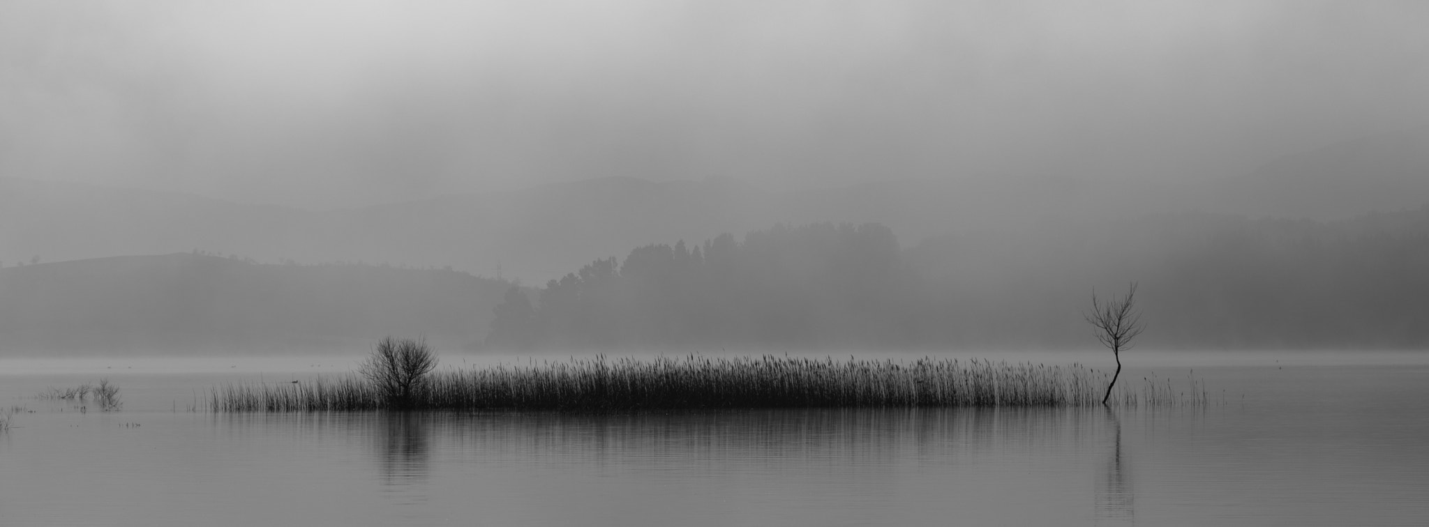 Fujifilm XF 50-140mm F2.8 R LM OIS WR sample photo. Landa photography