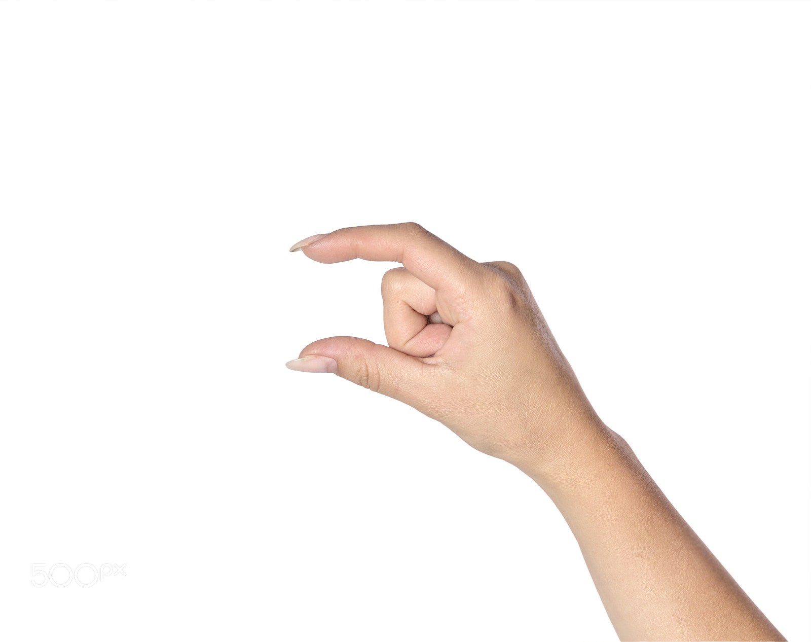 Canon EOS 60D sample photo. Female hand on a white background photography