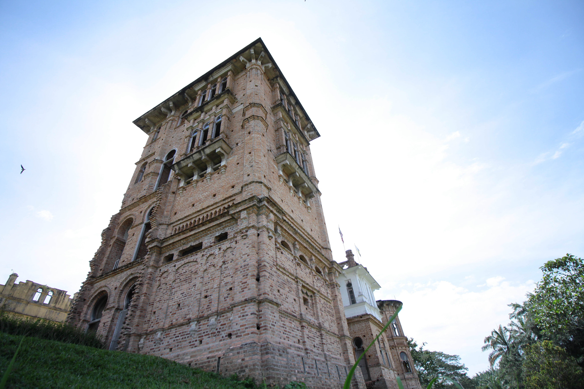 Canon EOS 50D sample photo. Img photography