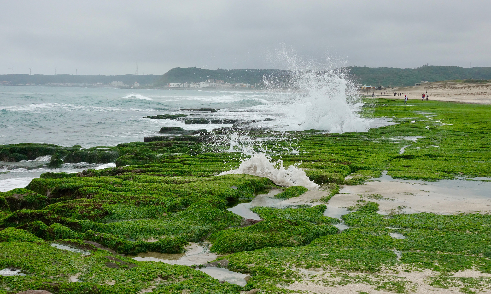 Sony DSC-RX100M5 sample photo