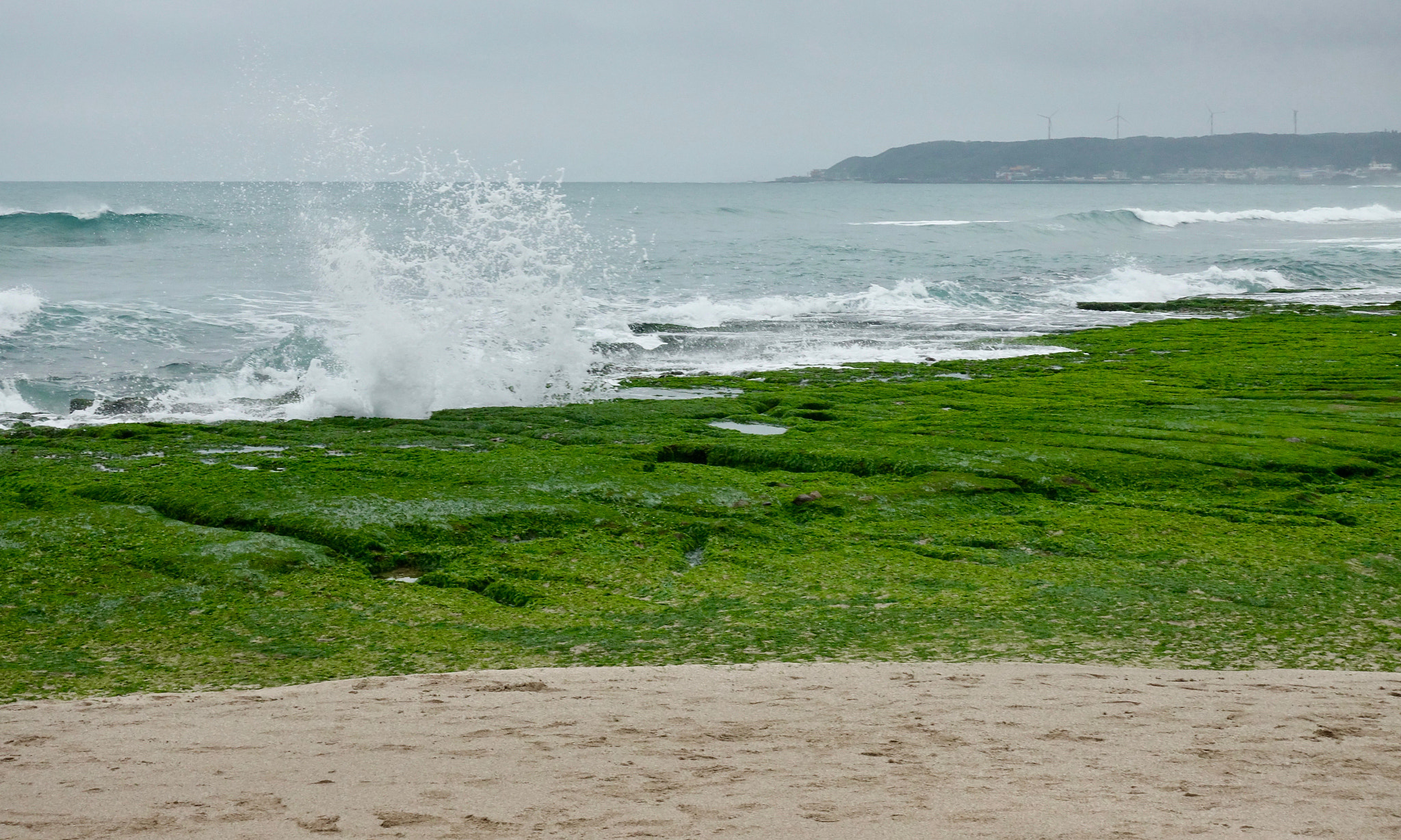 Sony 24-70mm F1.8-2.8 sample photo. 老梅綠石槽 green stone troughs of laomei photography