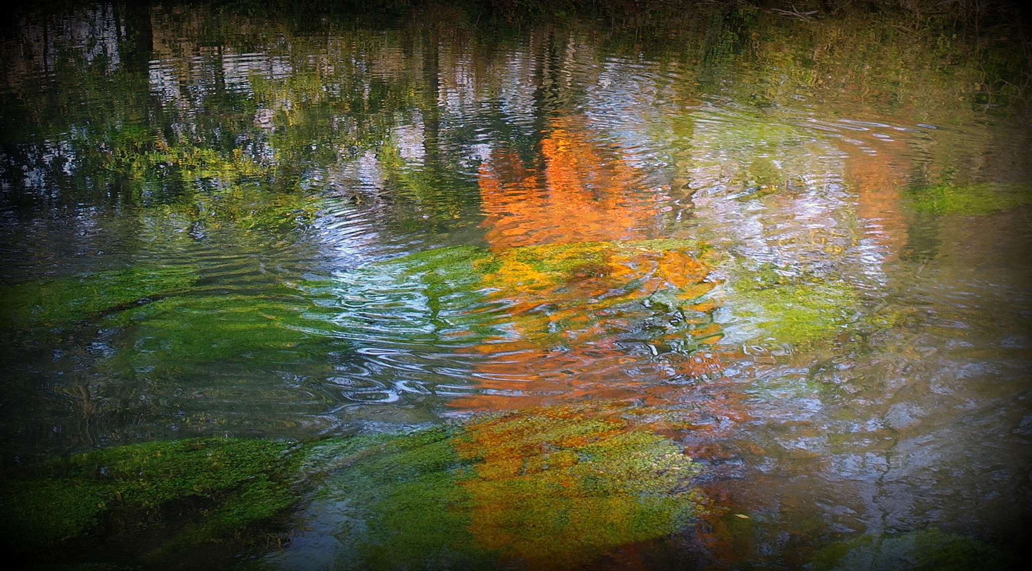 Samsung NX10 sample photo. "herbstwasser" photography