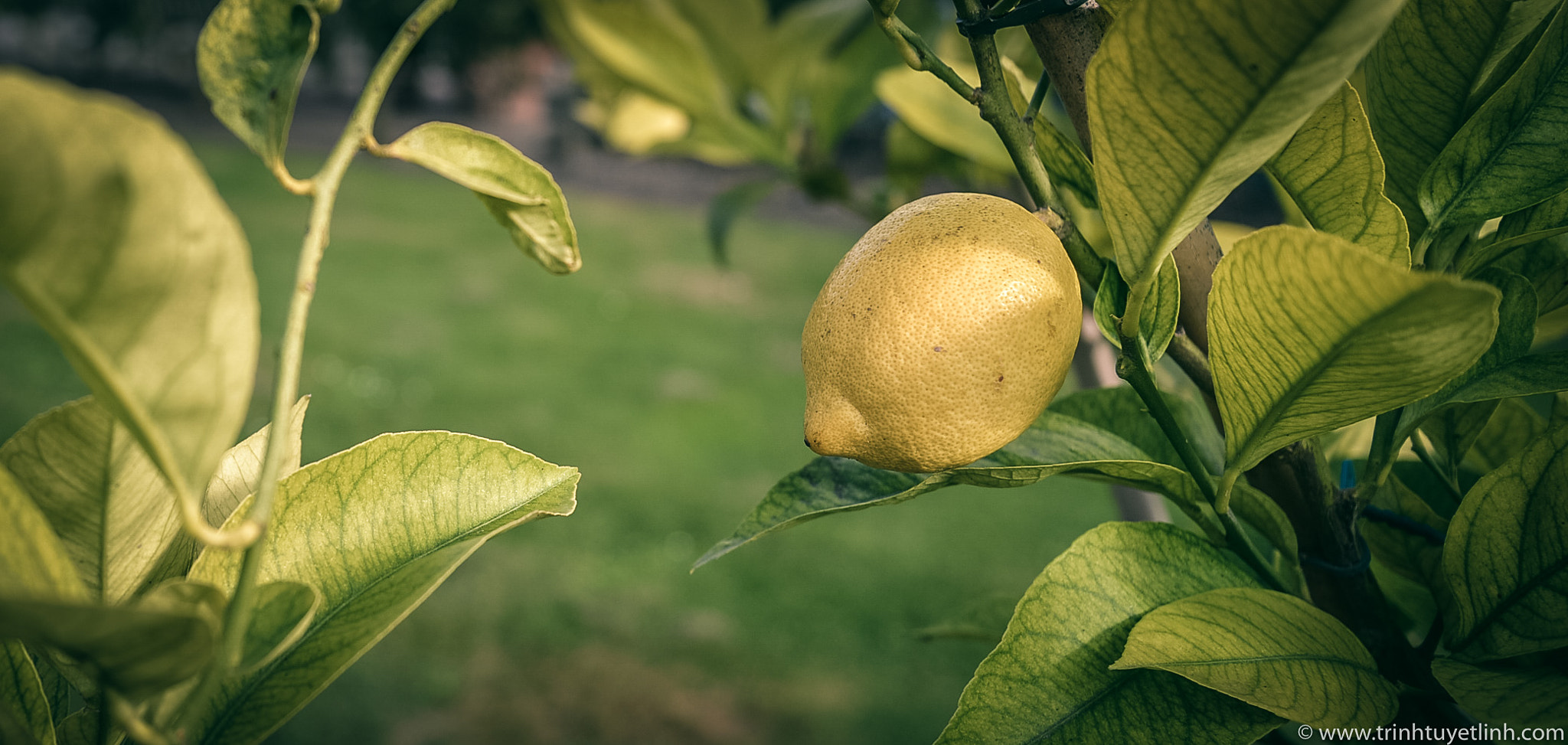 Nikon D600 sample photo. Dordrecht photography