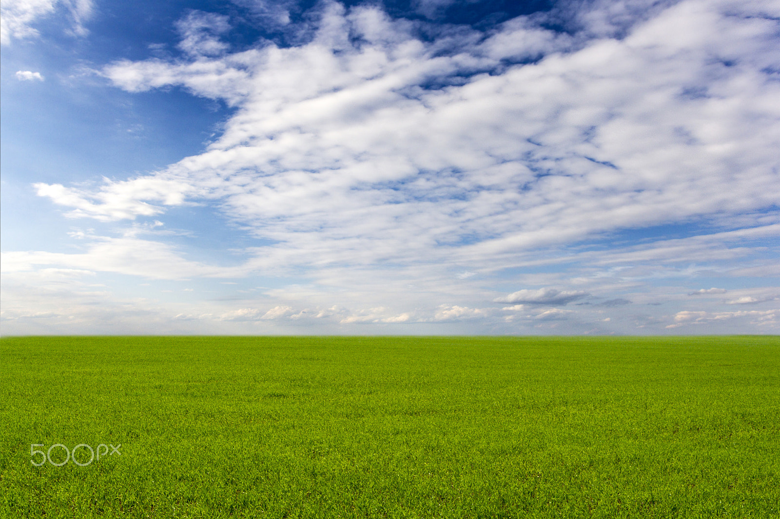 Canon EF-S 18-55mm F3.5-5.6 II sample photo. Green field background photography