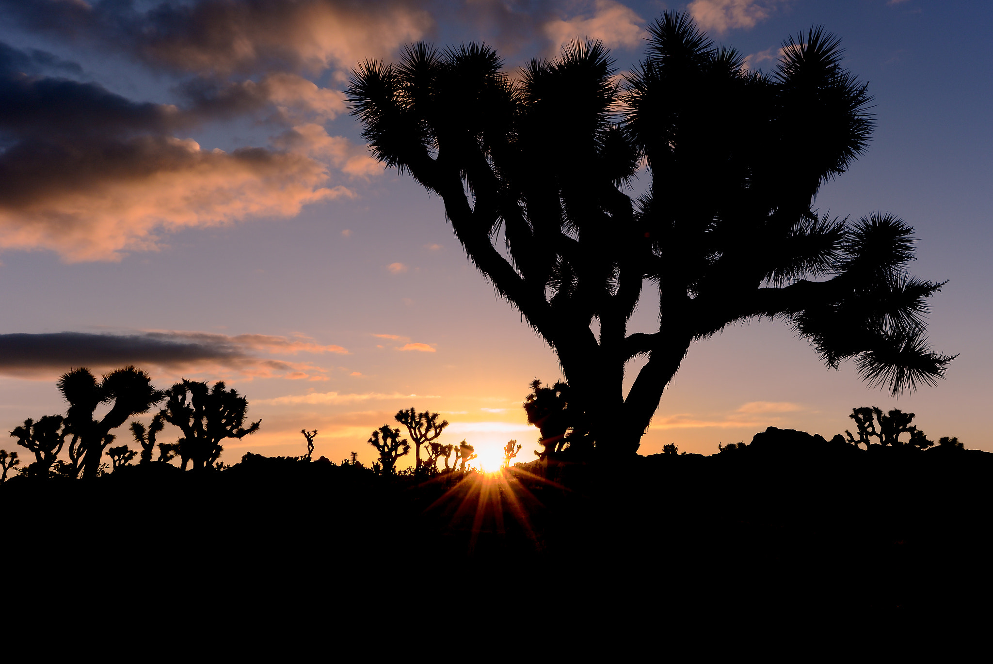 Nikon D7100 sample photo. Sunrise in a desert photography
