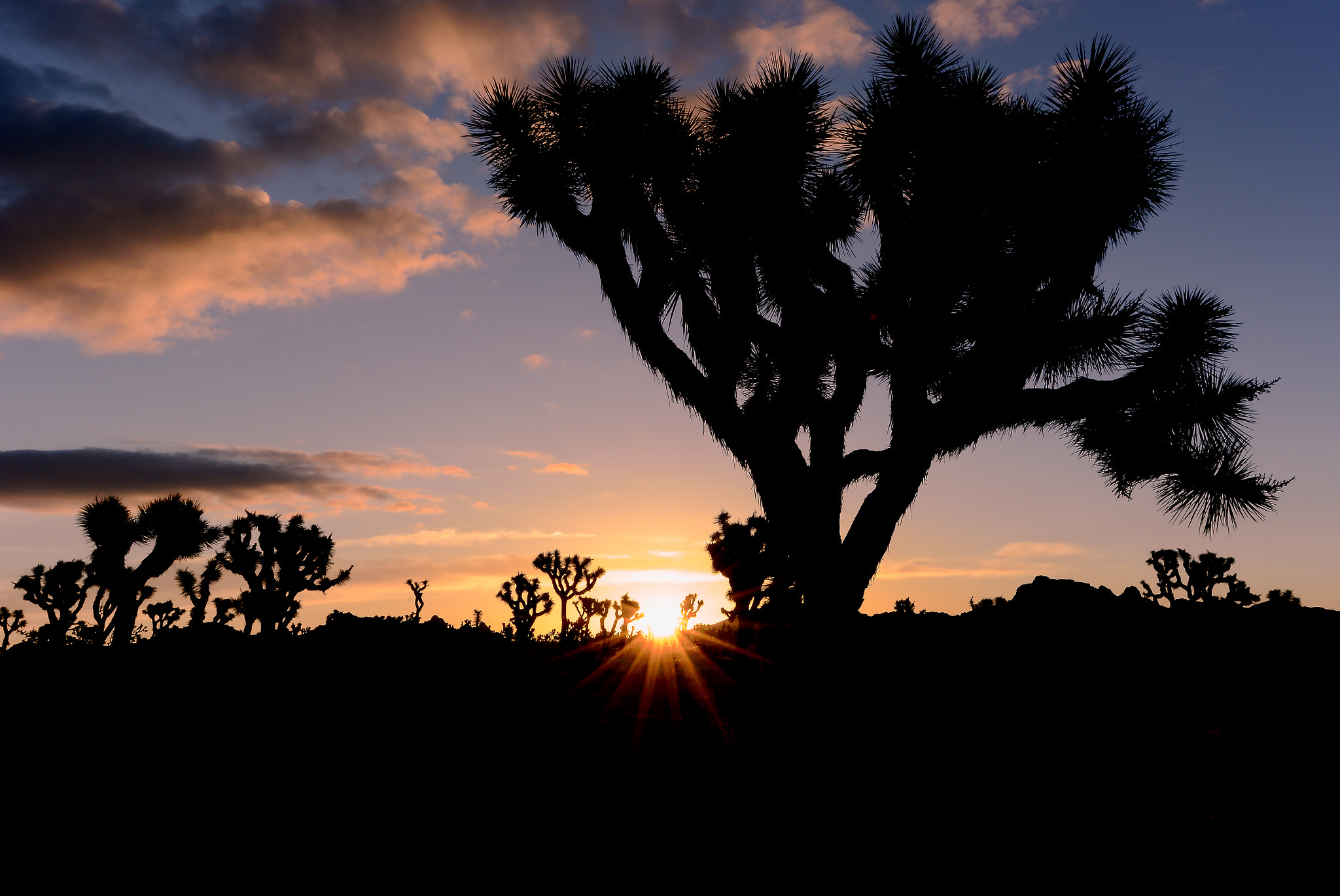 Nikon AF-S Nikkor 16-35mm F4G ED VR sample photo. Sunrise in a desert photography