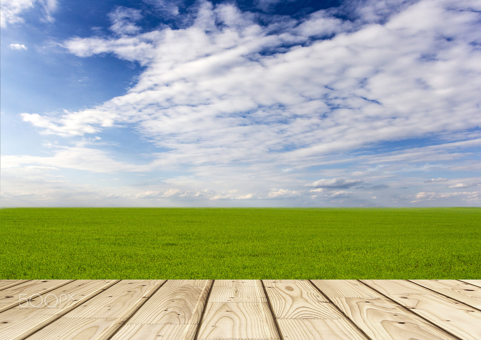 Canon EF-S 18-55mm F3.5-5.6 II sample photo. Green field background photography
