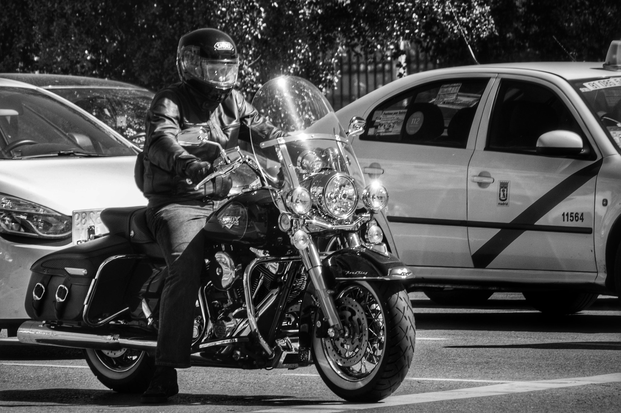 Panasonic Lumix DMC-GX7 sample photo. Harley photography