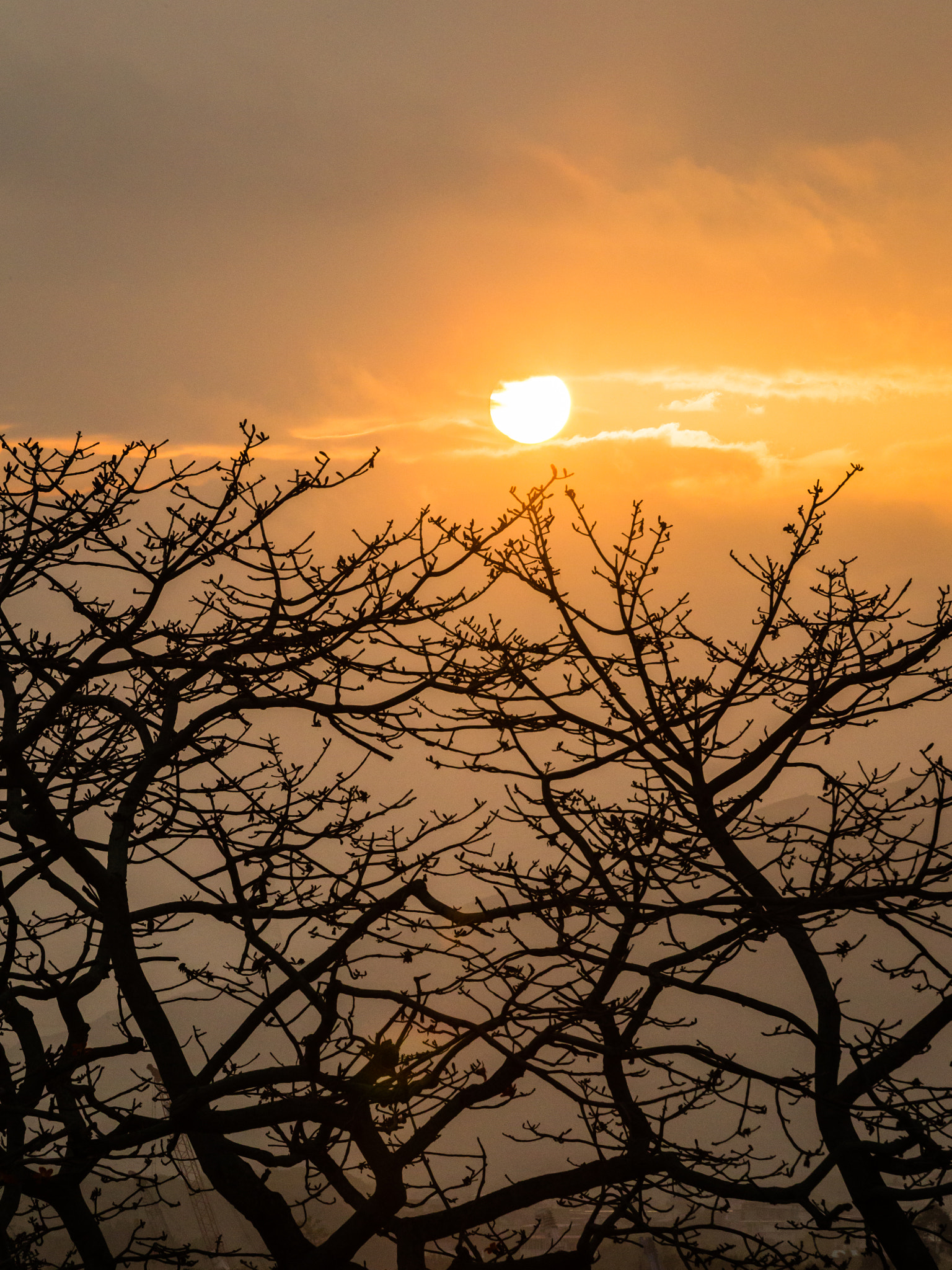 Canon EOS-1D X sample photo. View from the rooftop photography