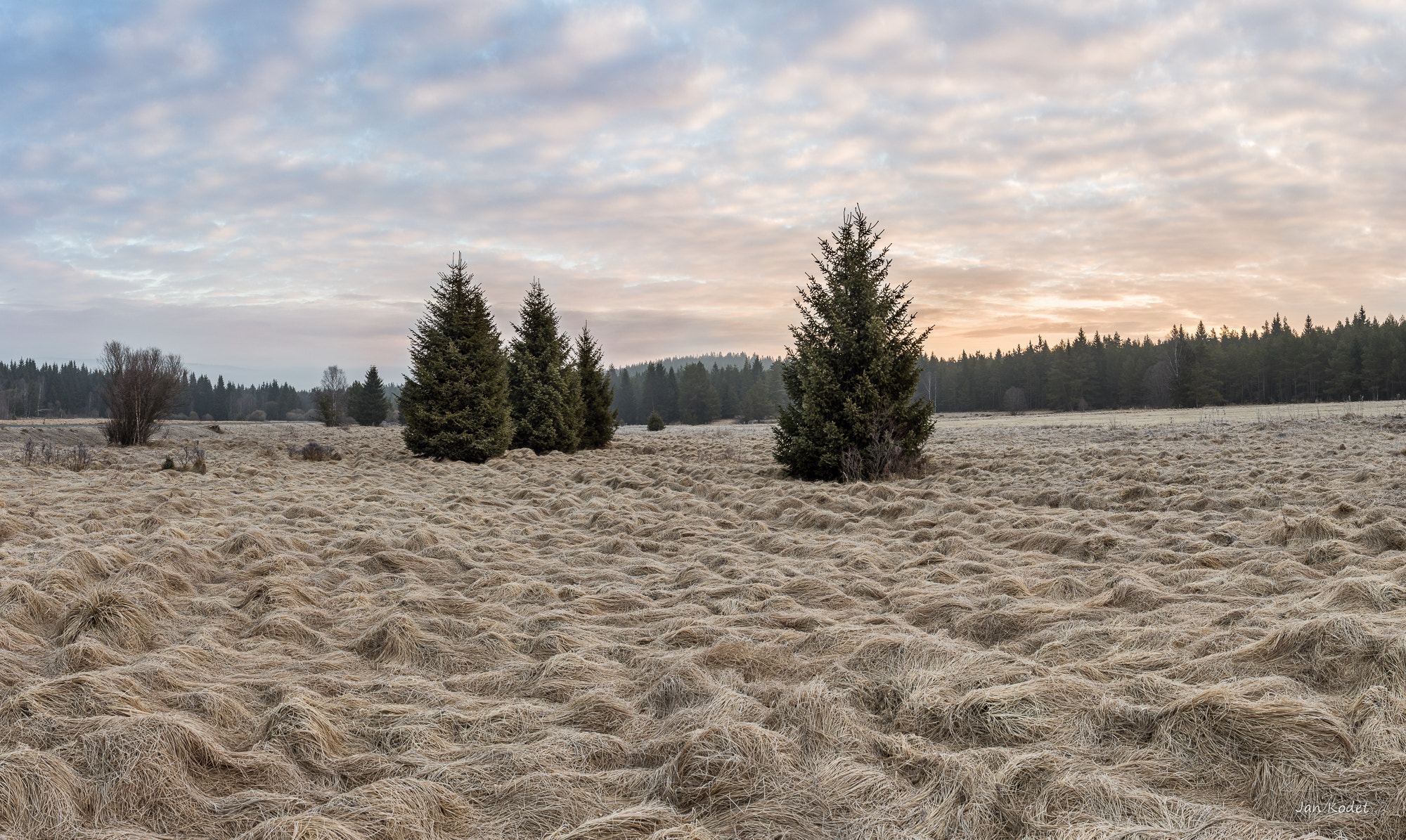 Canon EF 28mm F2.8 IS USM sample photo. Bohemian forest photography