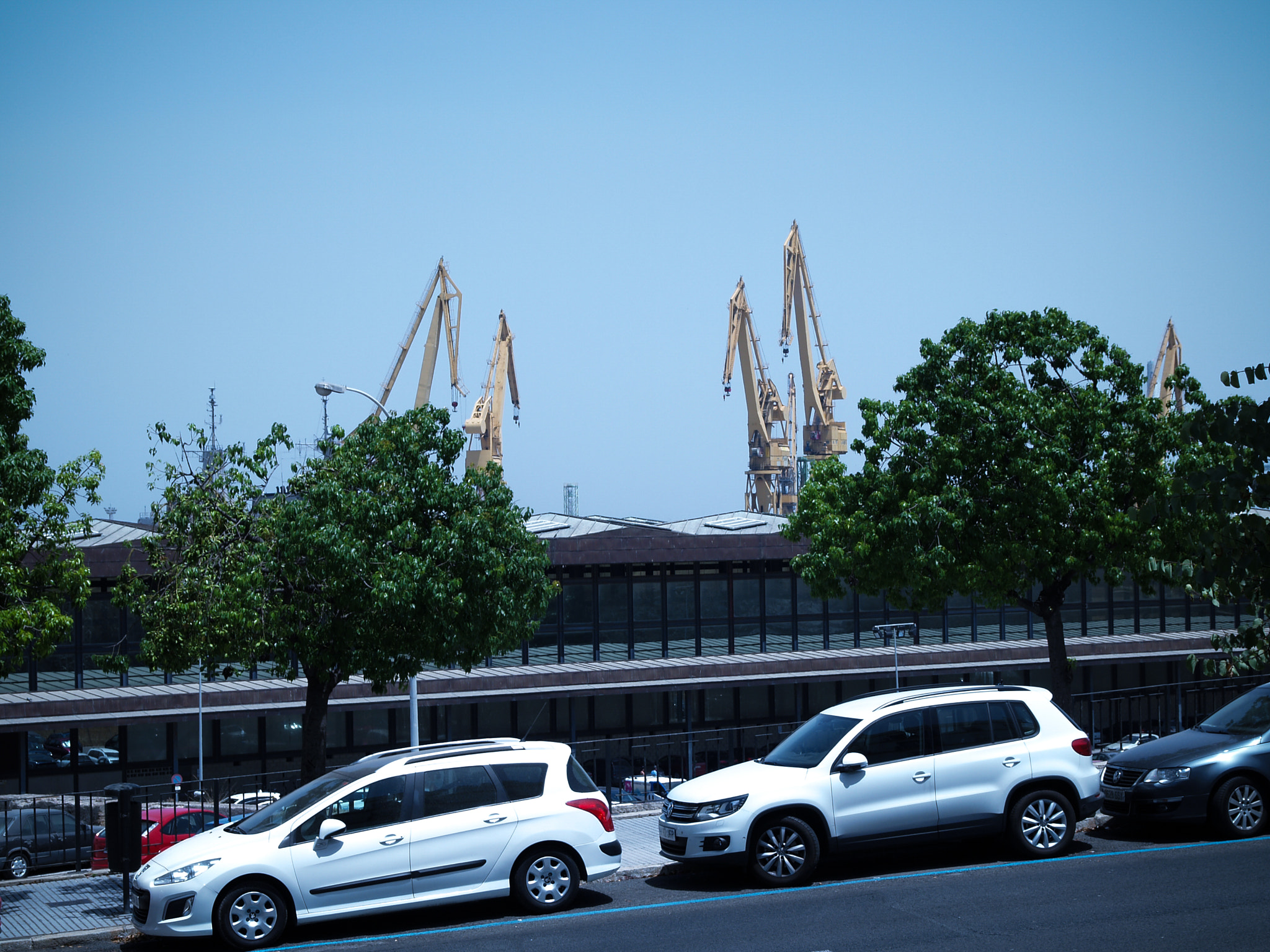Olympus E-330 (EVOLT E-330) sample photo. Cran that city photography