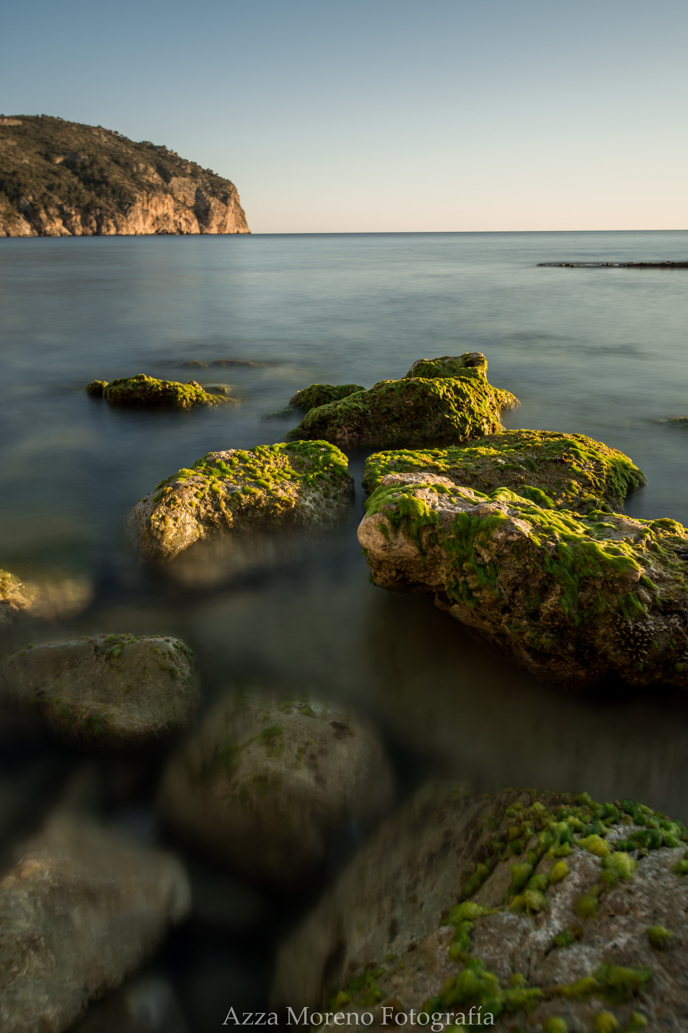 Nikon D500 sample photo. Green photography