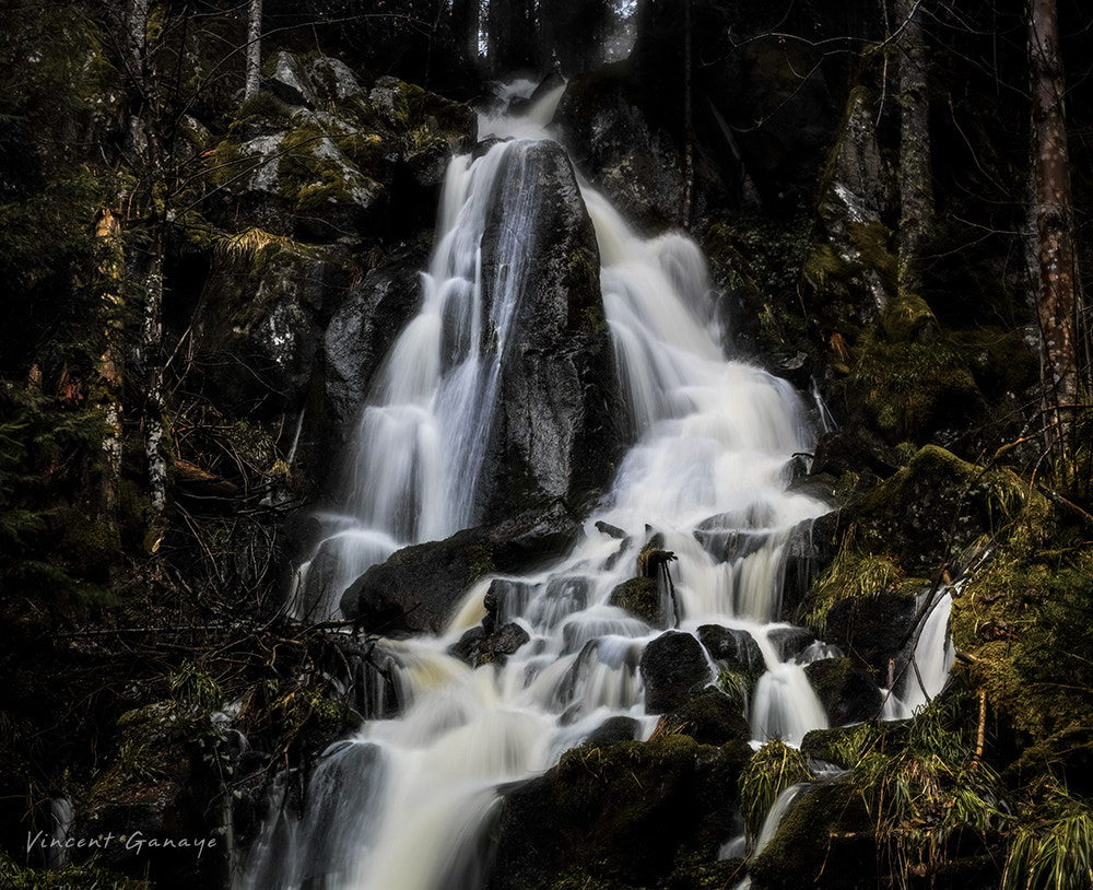1007 sample photo. Cascades de printemps photography