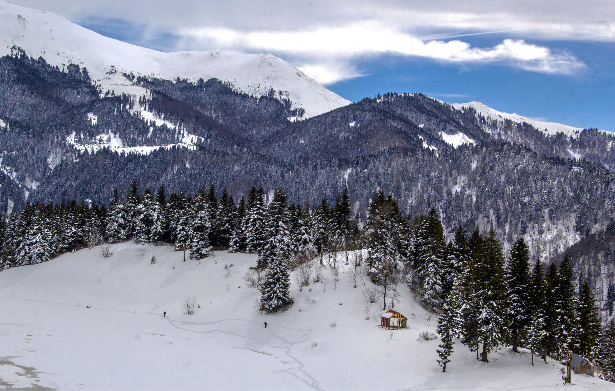 Canon EOS 60D sample photo. Winter... photography