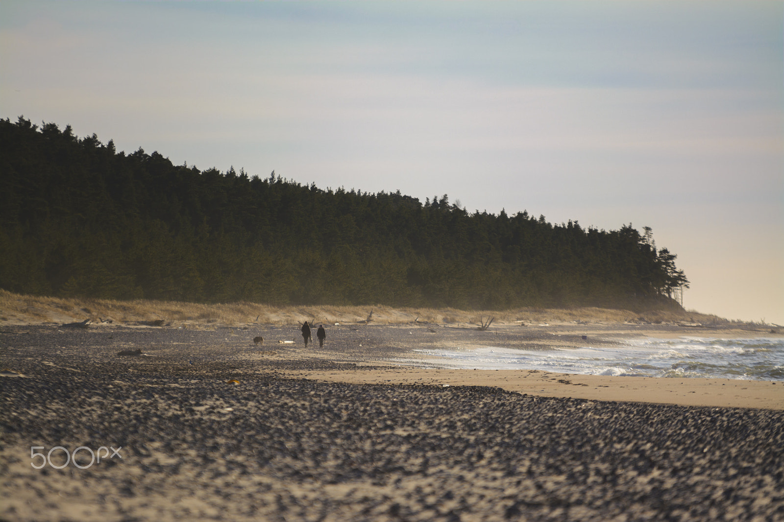 Sigma 70-200mm F2.8 EX DG OS HSM sample photo. A walk with dog on sea shore photography