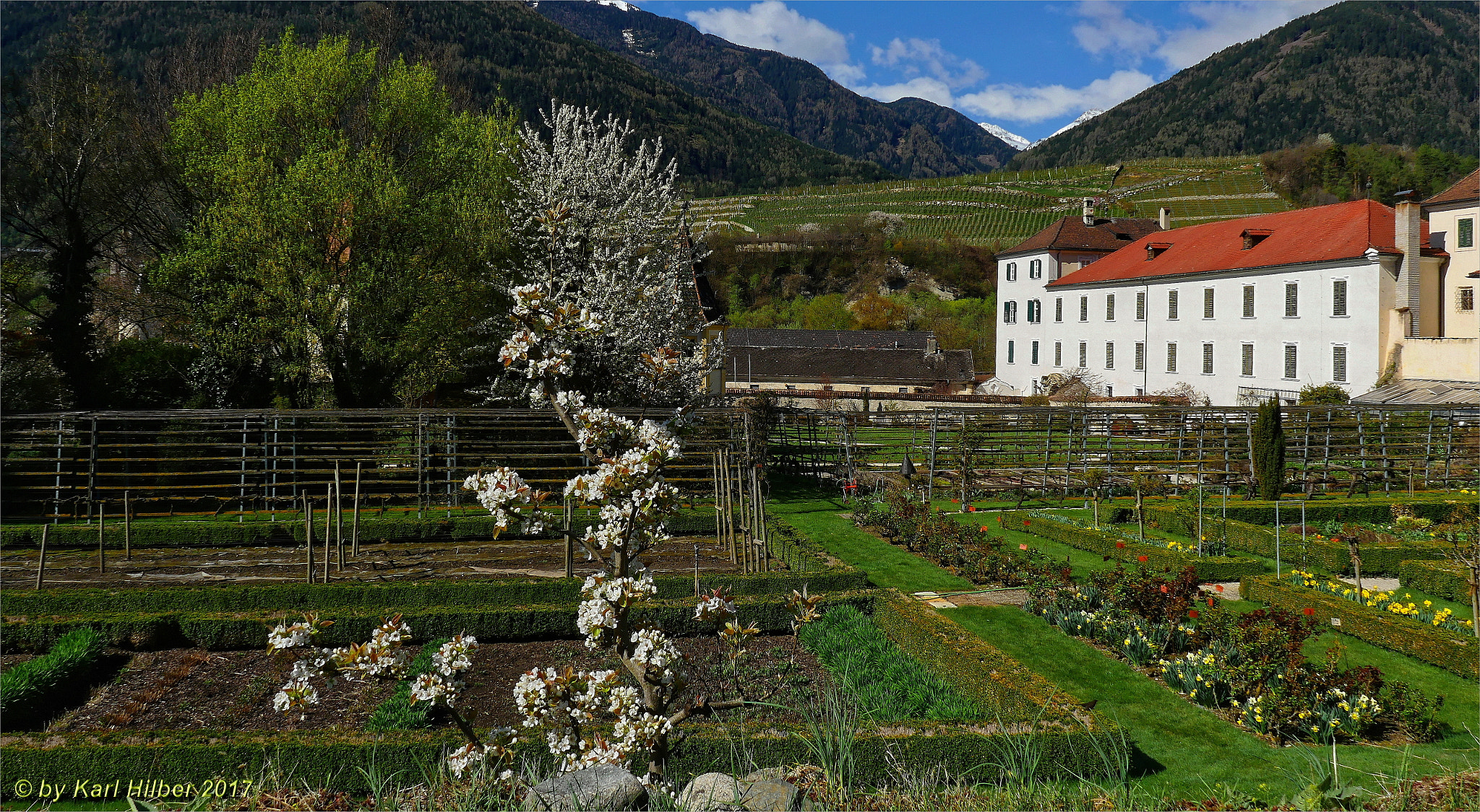 Panasonic Lumix DMC-GX8 sample photo. Klostergarten neustift, dxo photography