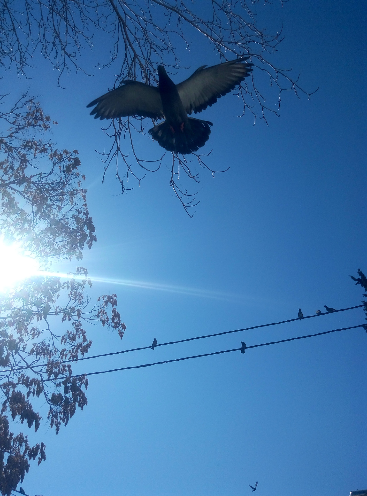 Meizu m2 note sample photo