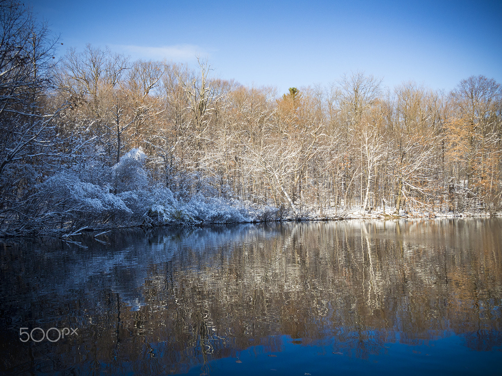 Olympus PEN E-PL5 sample photo. Winter landscape photography