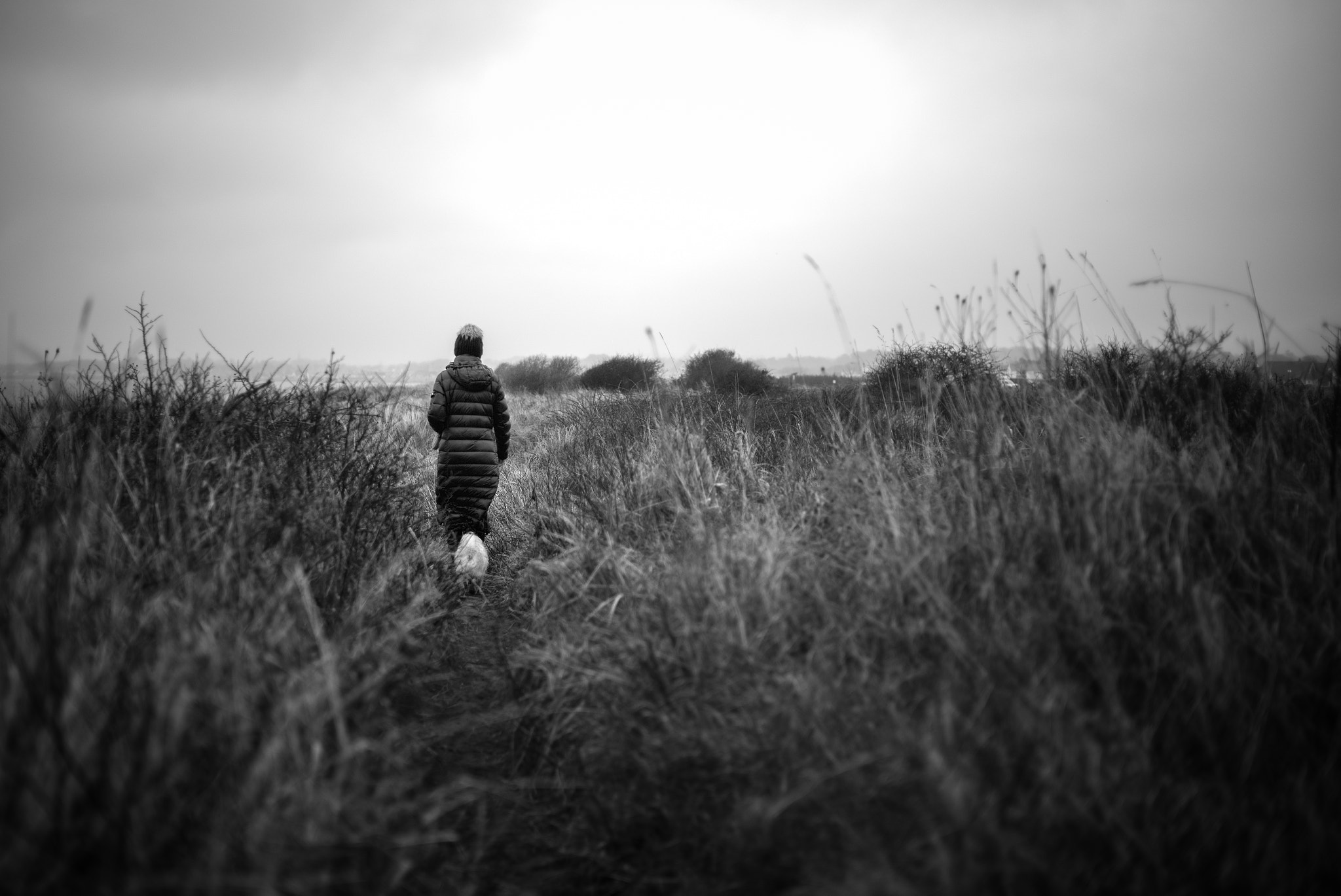 Leica M Monochrom (Typ 246) sample photo. Path photography