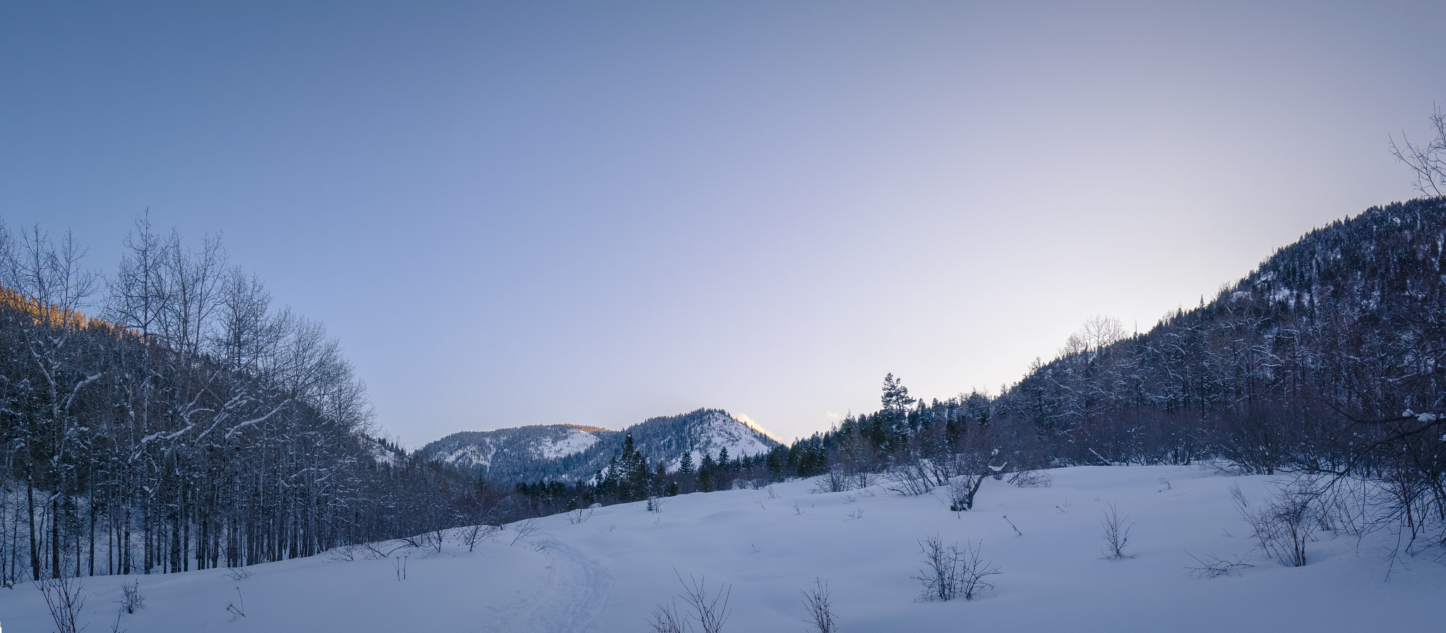 Samyang 14mm F2.8 ED AS IF UMC sample photo. поляна км photography